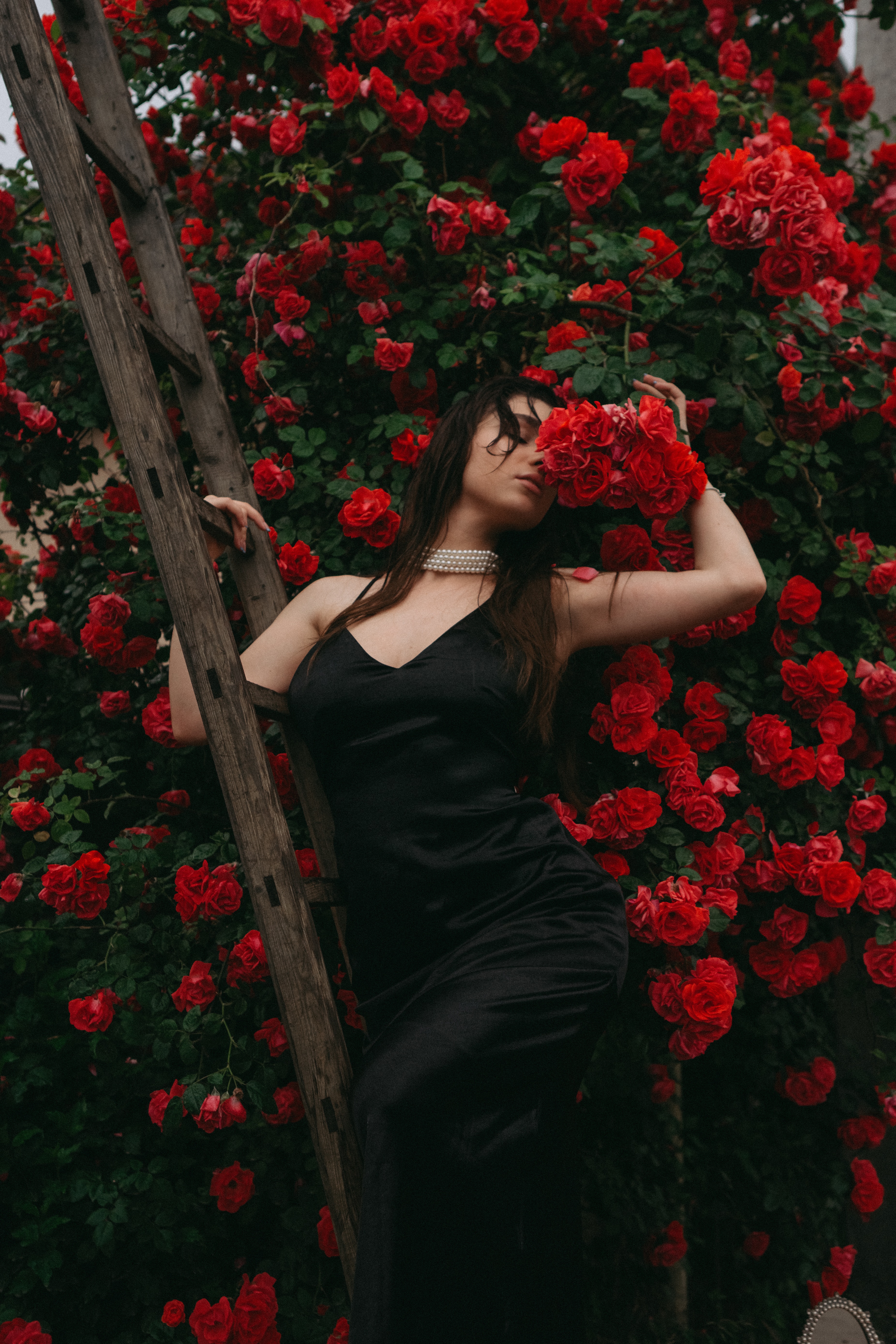 A woman on a ladder and in front of a rose bush. | Source: Pexels