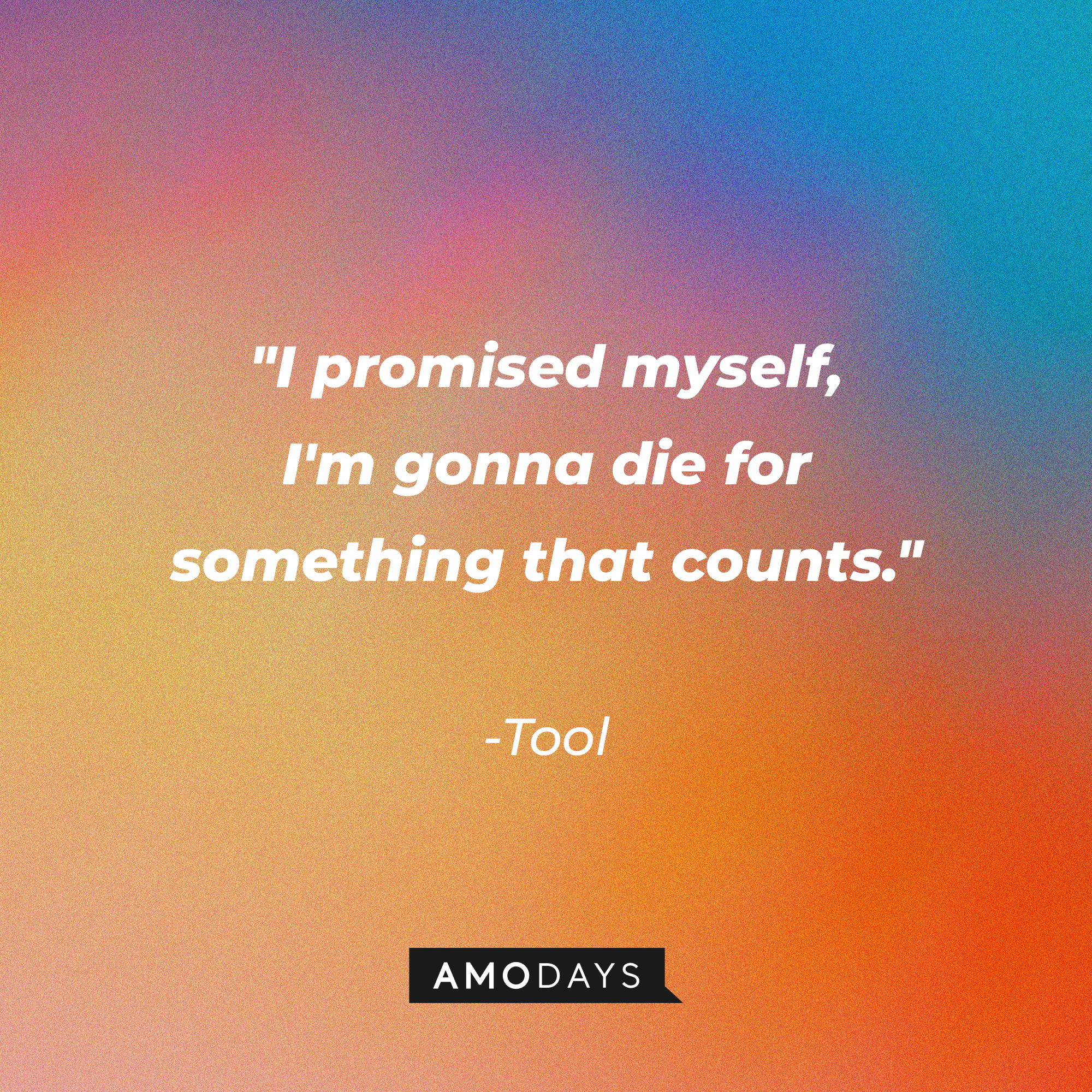 Tool’s quote: "I promised myself, I'm gonna die for something that counts." | Source: AmoDays