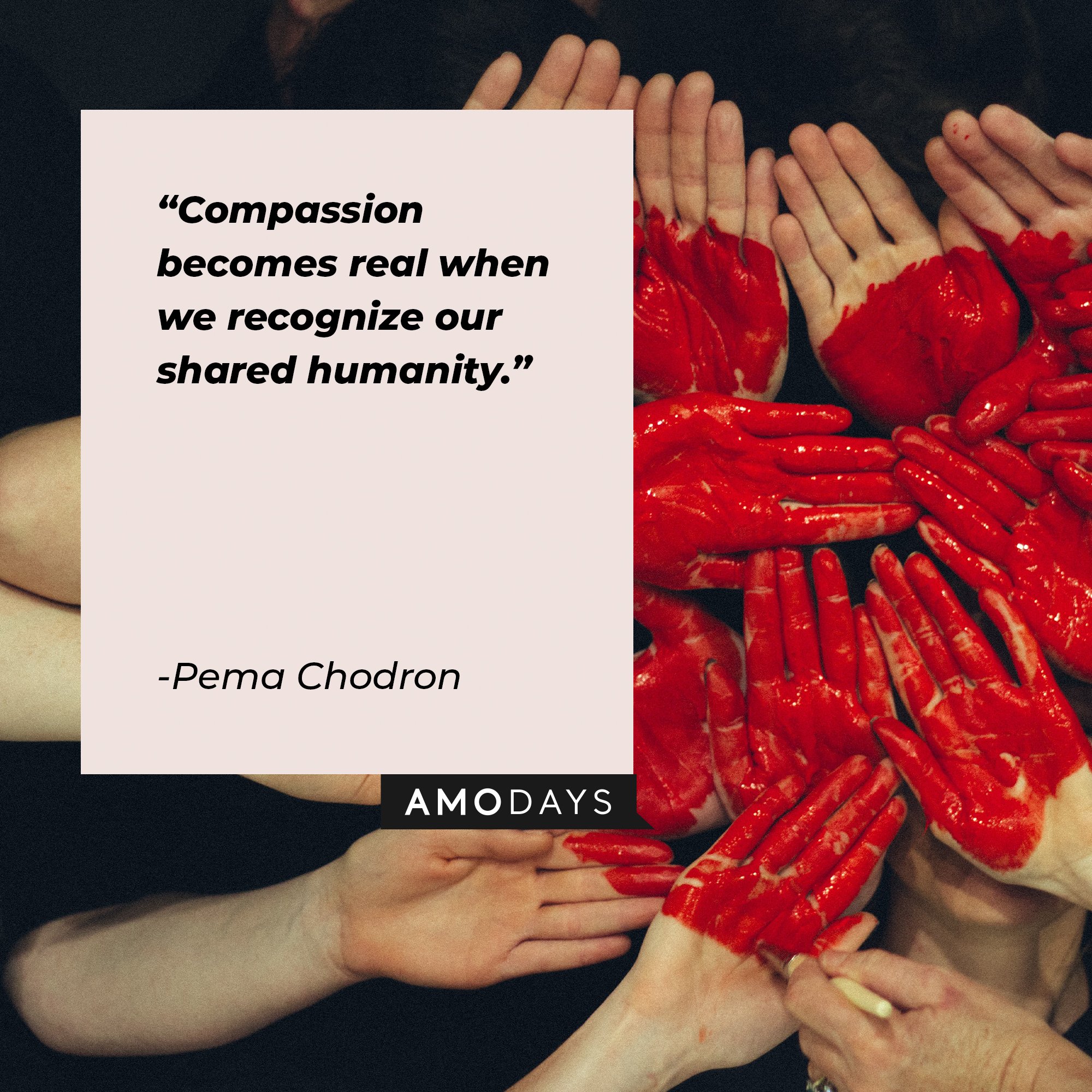 Pema Chodron’s quote: "Compassion becomes real when we recognize our shared humanity." | Image: AmoDays