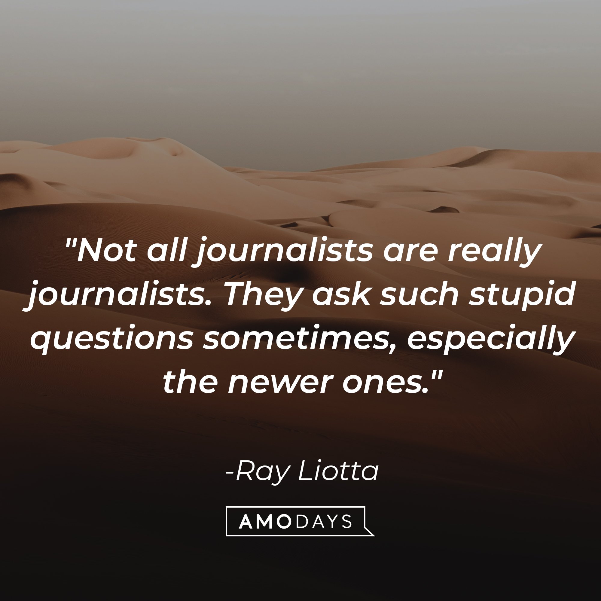 Ray Liotta’s quote: "Not all journalists are really journalists. They ask such stupid questions sometimes, especially the newer ones." | Image: AmoDays