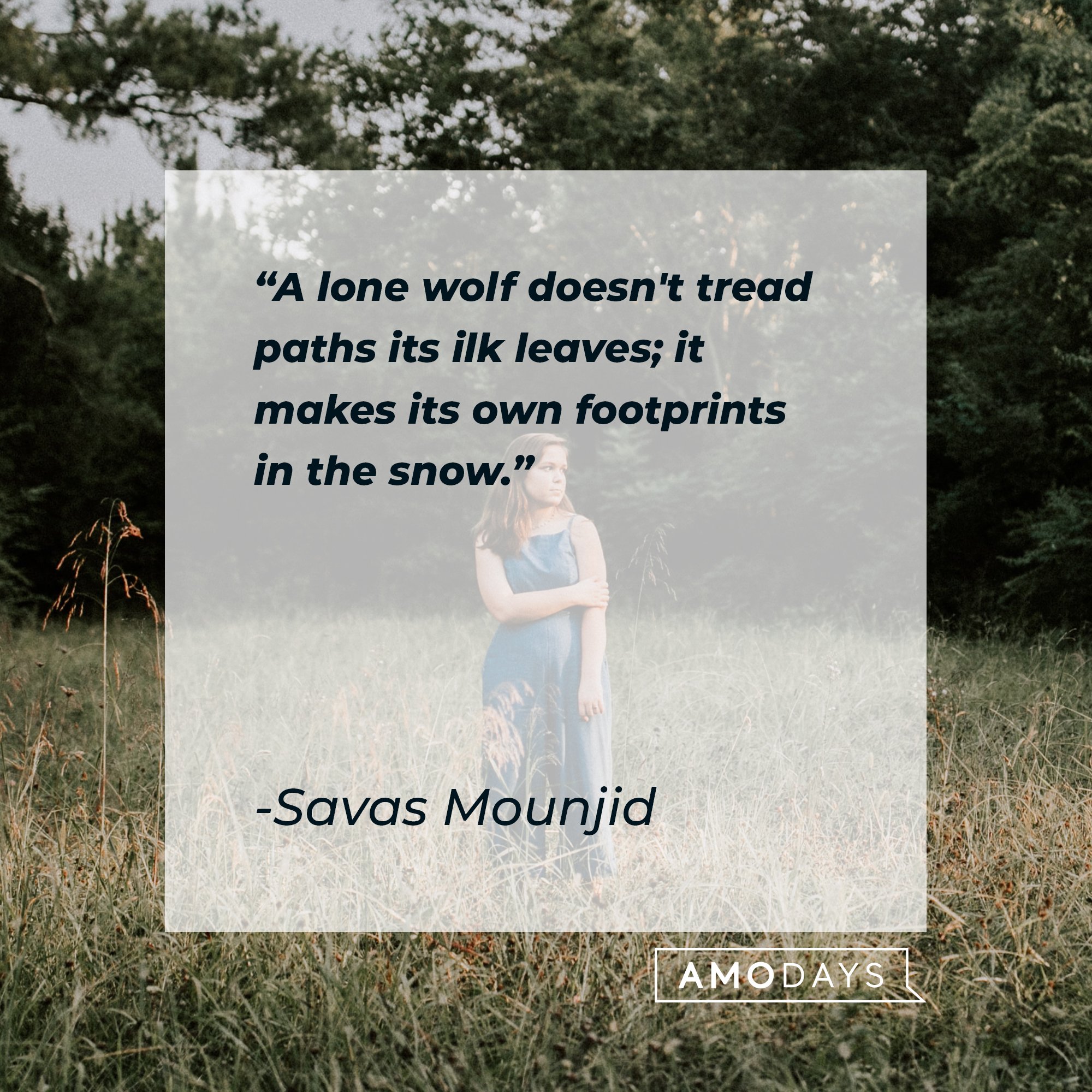 Savas Mounjid’s quote: "A lone wolf doesn't tread paths its ilk leaves; it makes its own footprints in the snow." | Image: AmoDays