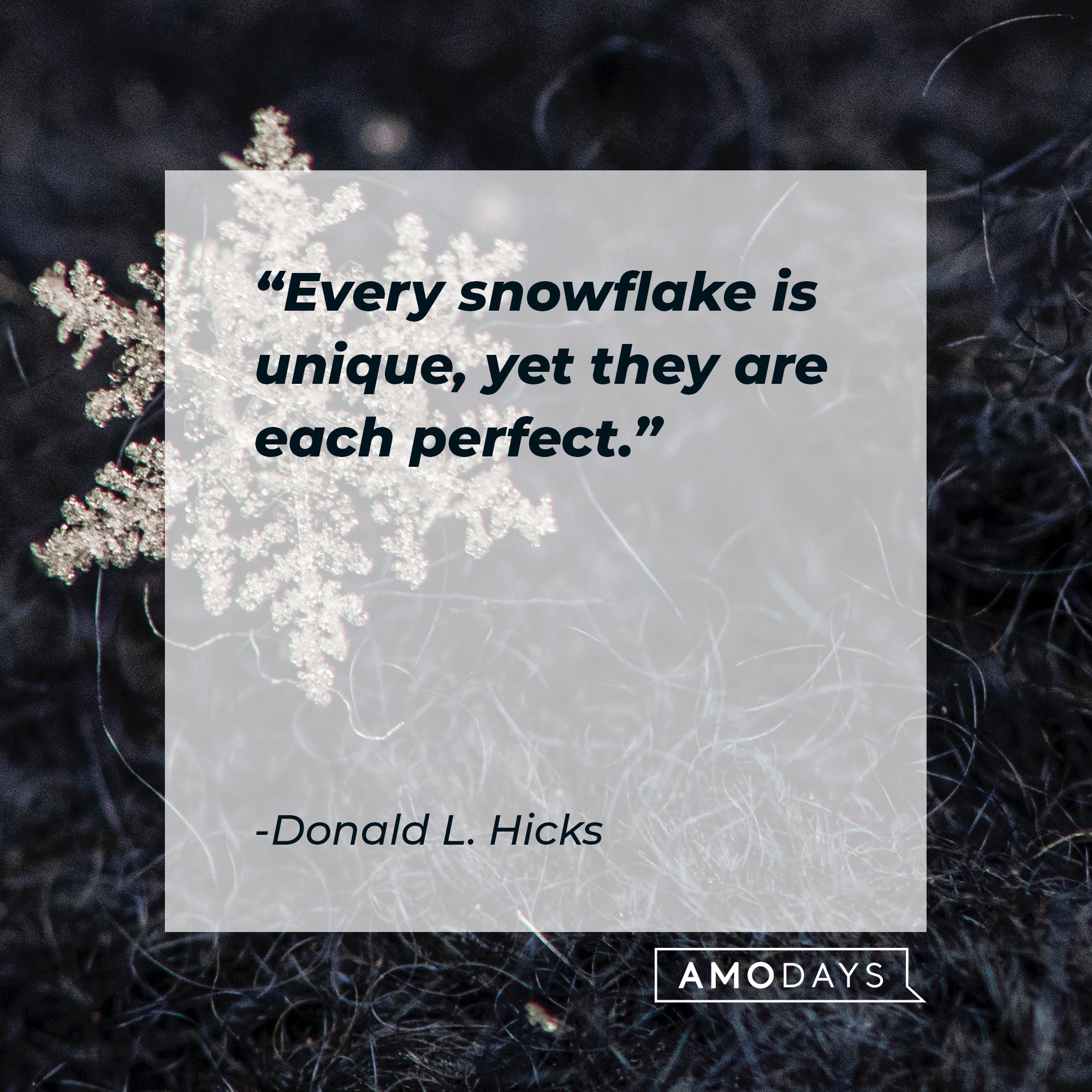   Donald L. Hicks’ quote: "Every snowflake is unique, yet they are each perfect." | Image: AmoDays