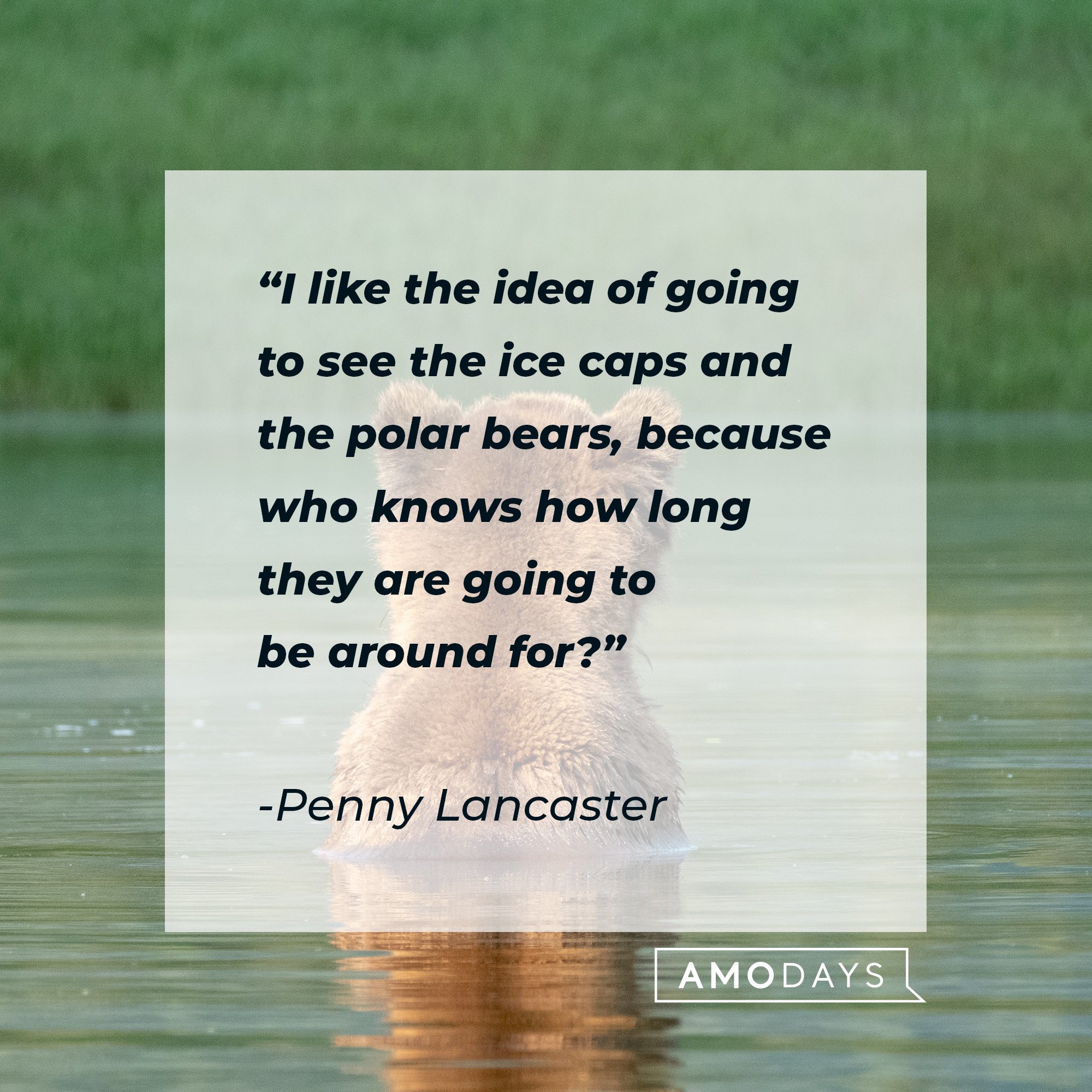 Penny Lancaster’s quote: "I like the idea of going to see the ice caps and the polar bears because who knows how long they are going to be around for?" | Image: AmoDays