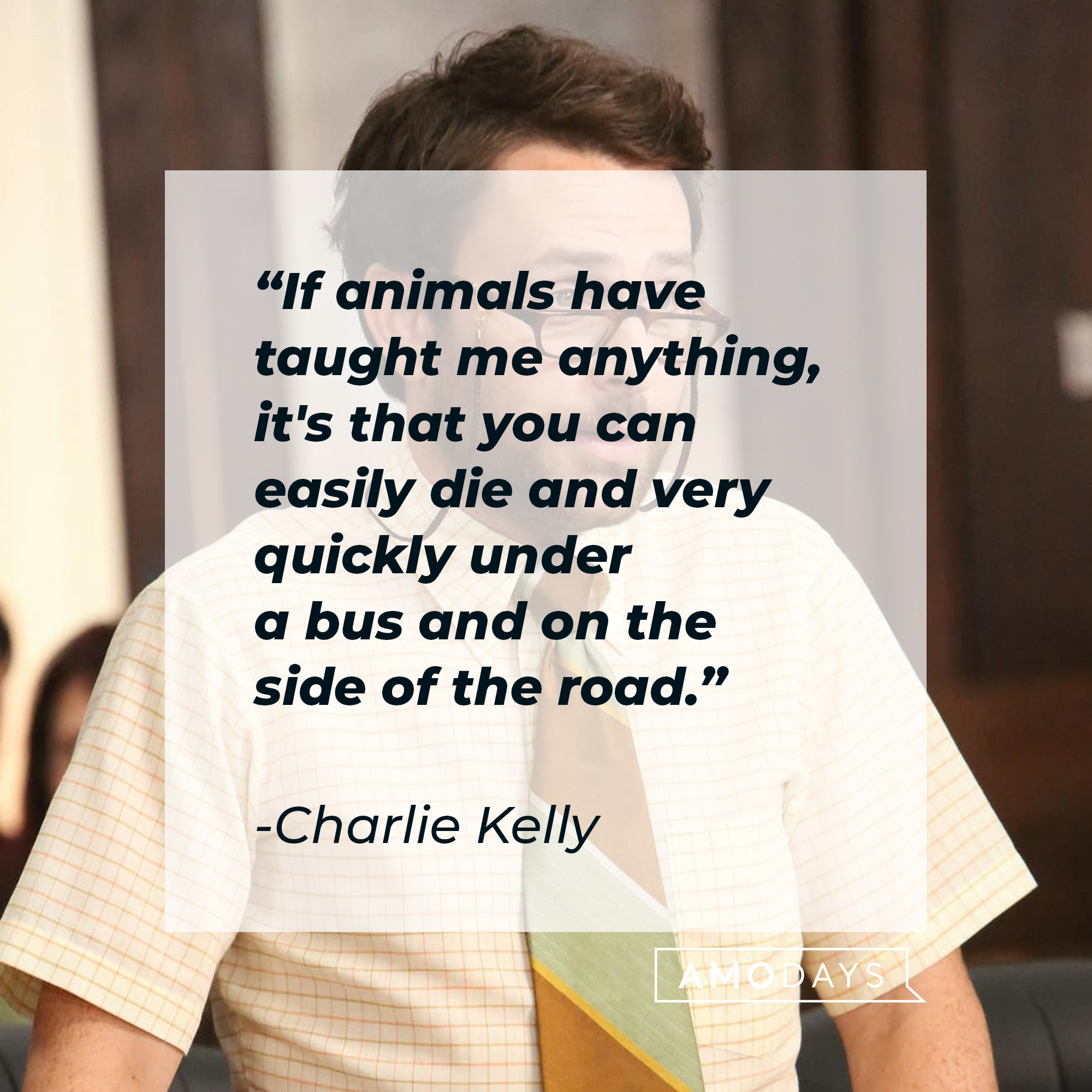 Charlie Kelly with his quote: "If animals have taught me anything, it's that you can easily die and very quickly under a bus and on the side of the road." | Source: Facebook/alwayssunny