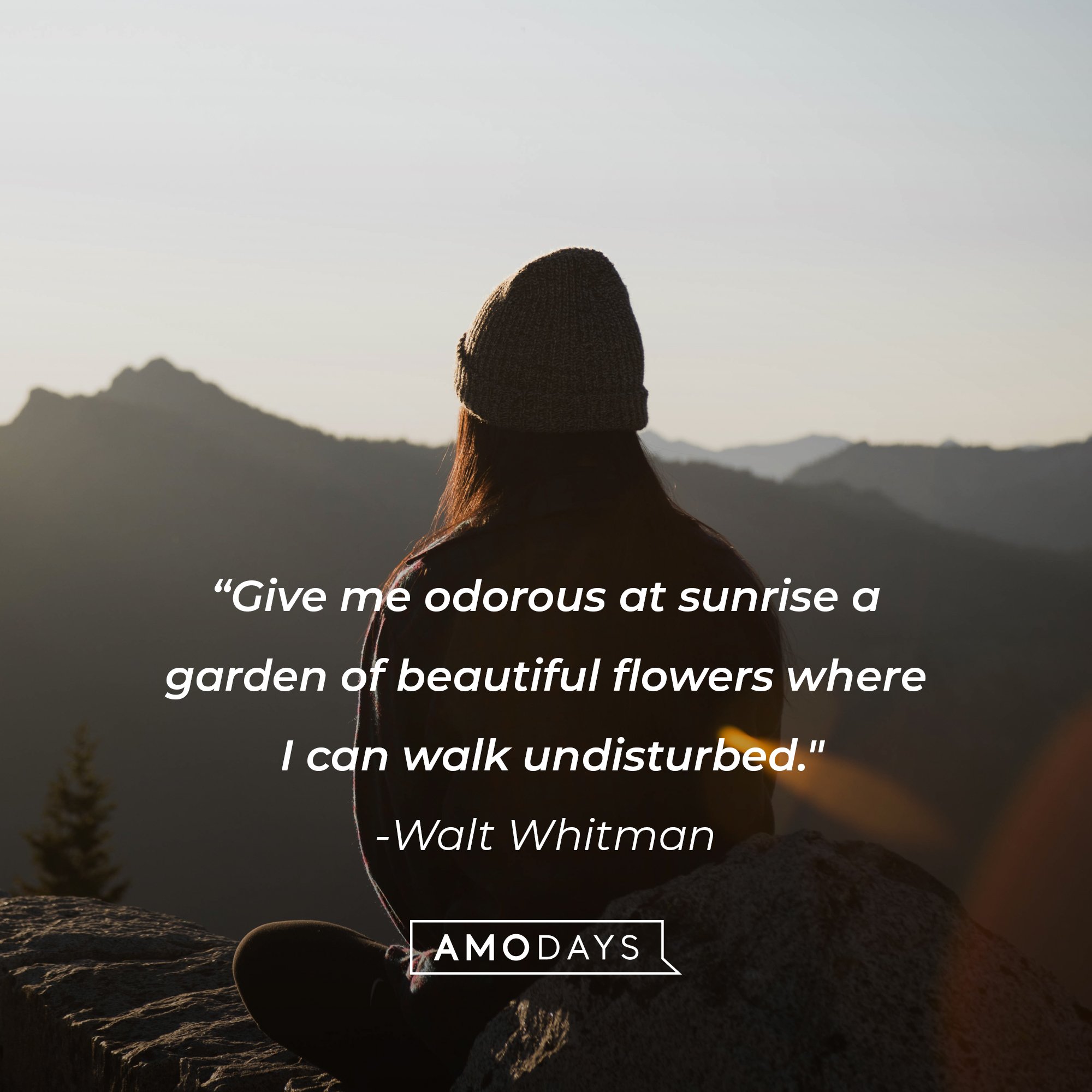  Walt Whitman’s quote: "Give me odorous at sunrise a garden of beautiful flowers where I can walk undisturbed." | Image: AmoDays