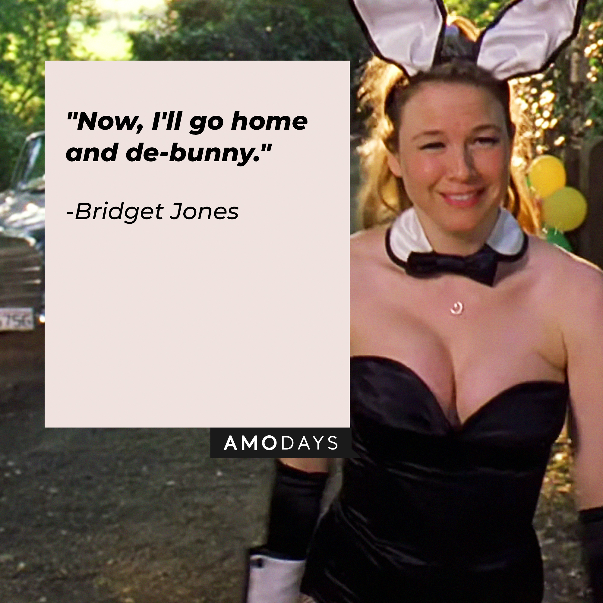 Bridget Jones with her quote in "Bridget Jones's Diary:" "Now, I'll go home and de-bunny." | Source: Facebook/BridgetJonessDiary