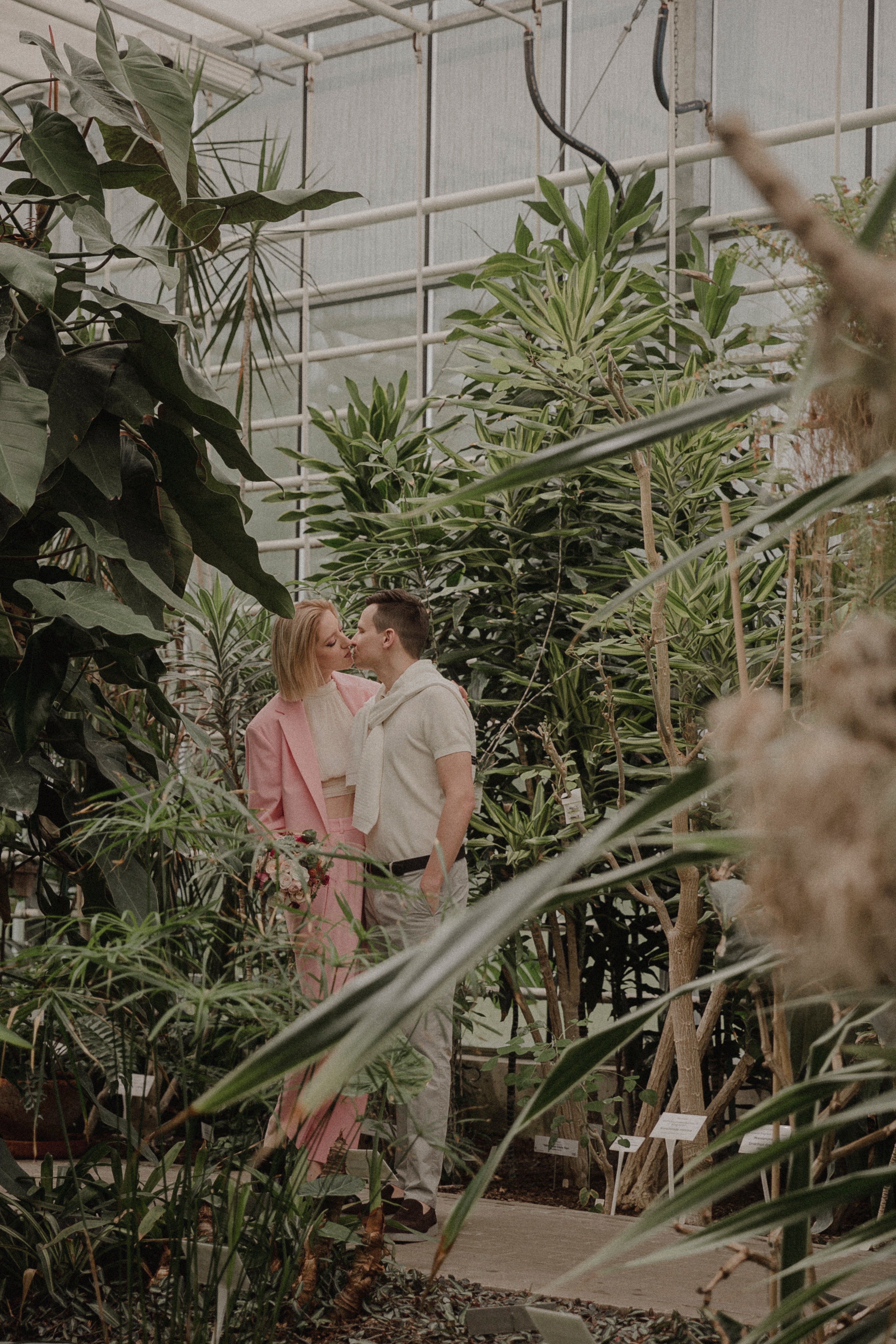 A couple kissing in a greenhouse. | Source: Pexels