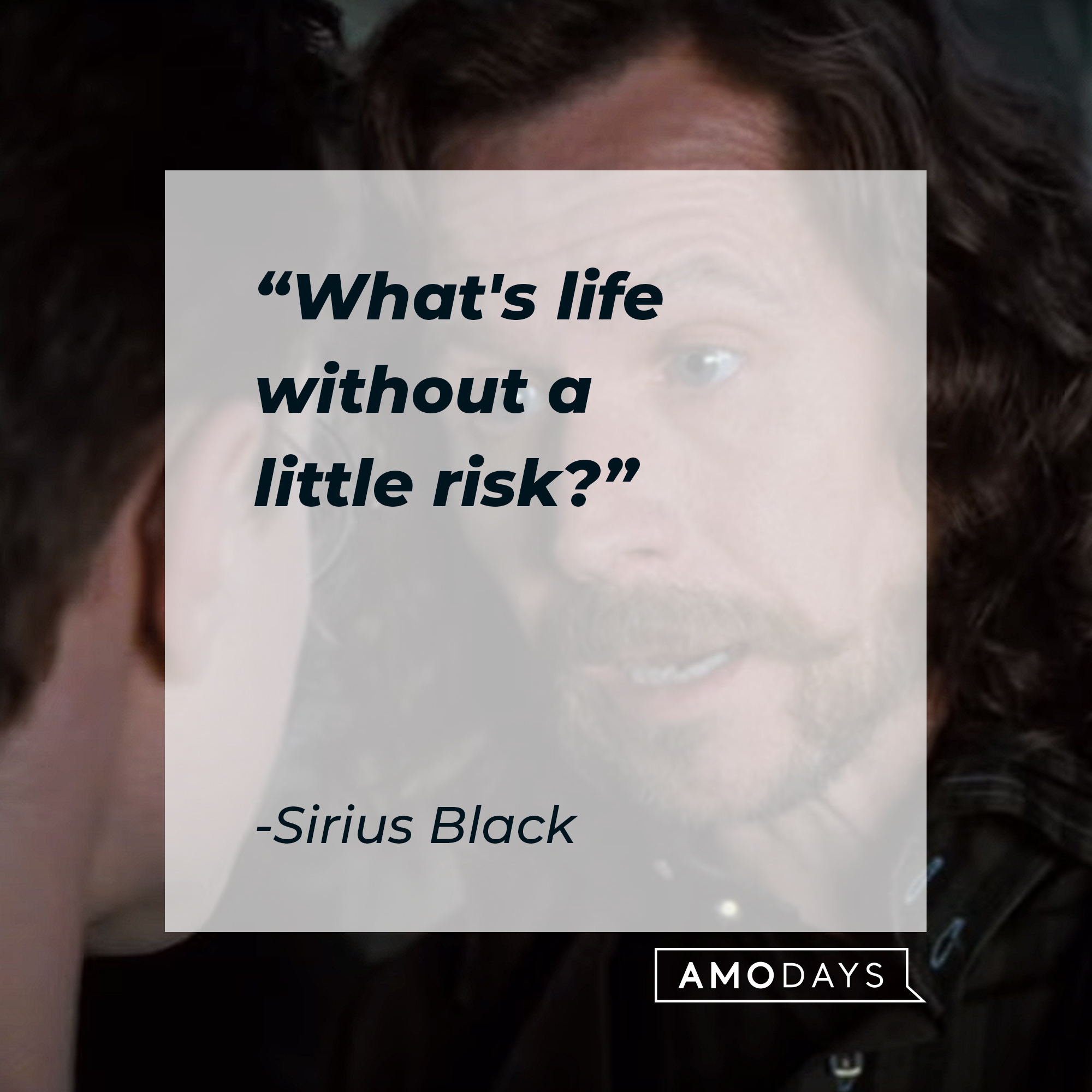 Sirius Black's quote: "What's life without a little risk?" | Source: YouTube/harrypotter