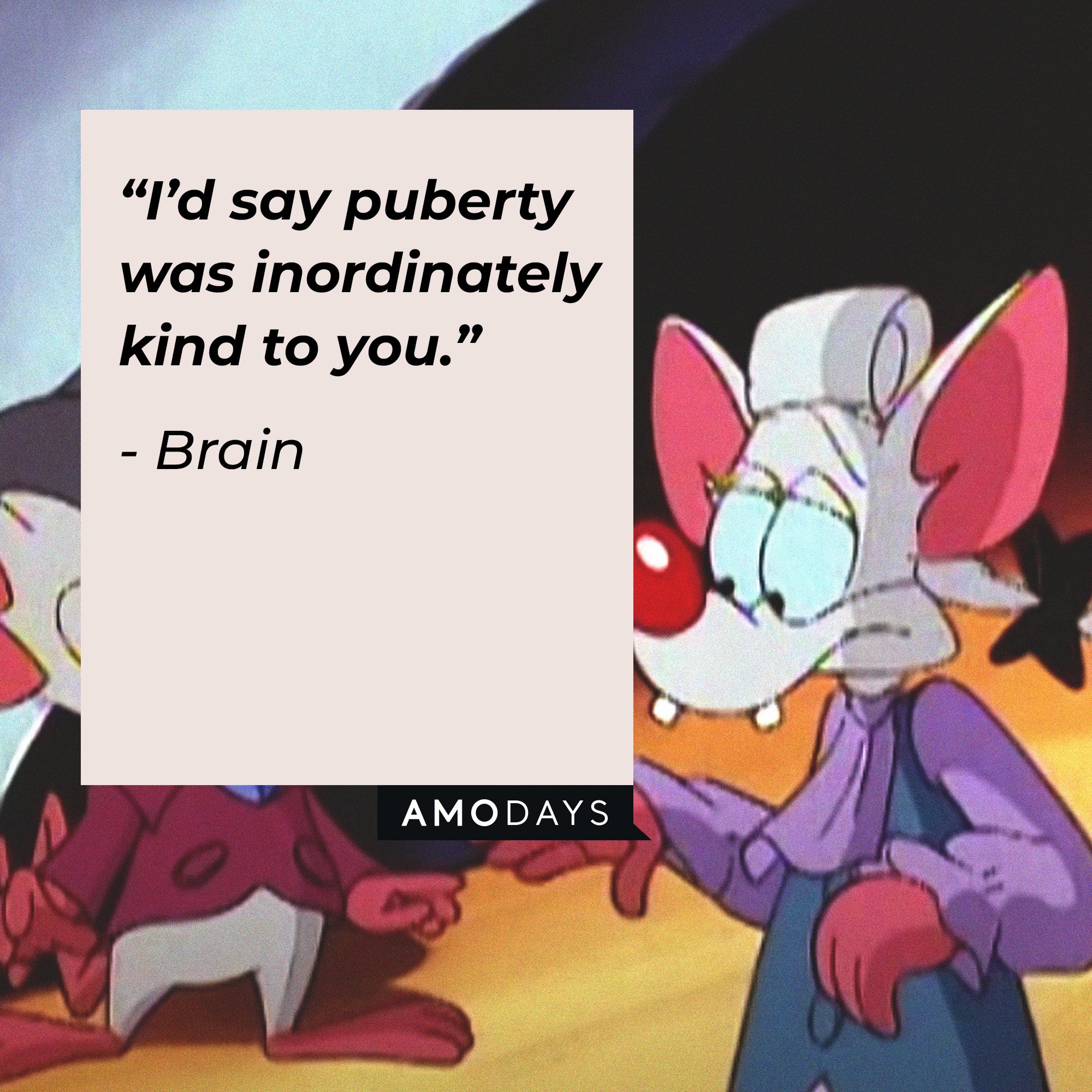 Brain's quote: “I’d say puberty was inordinately kind to you.” | Image: AmoDays
