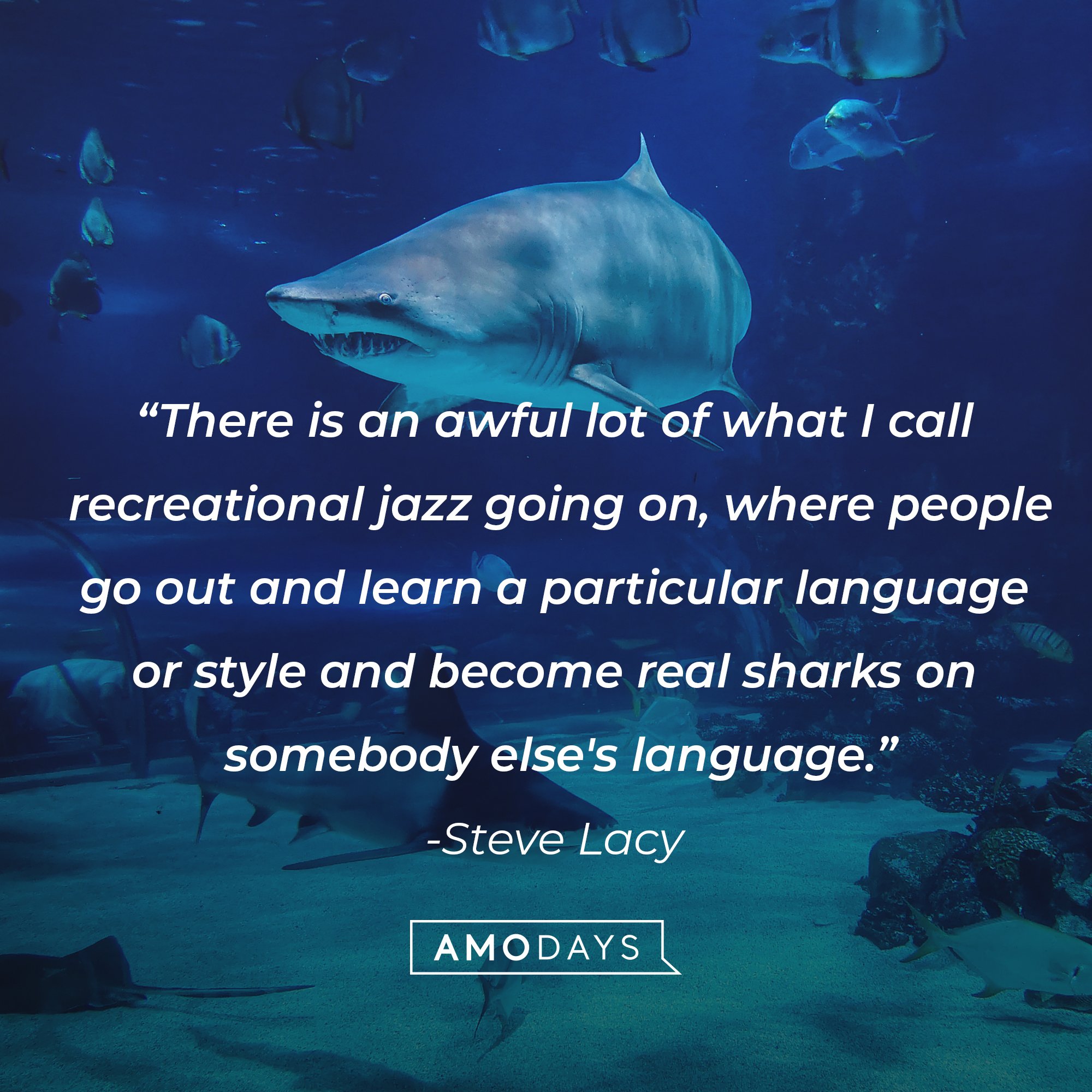 Steve Lacy's quote: “There is an awful lot of what I call recreational jazz going on, where people go out and learn a particular language or style and become real sharks on somebody else's language.” | Image: AmoDays