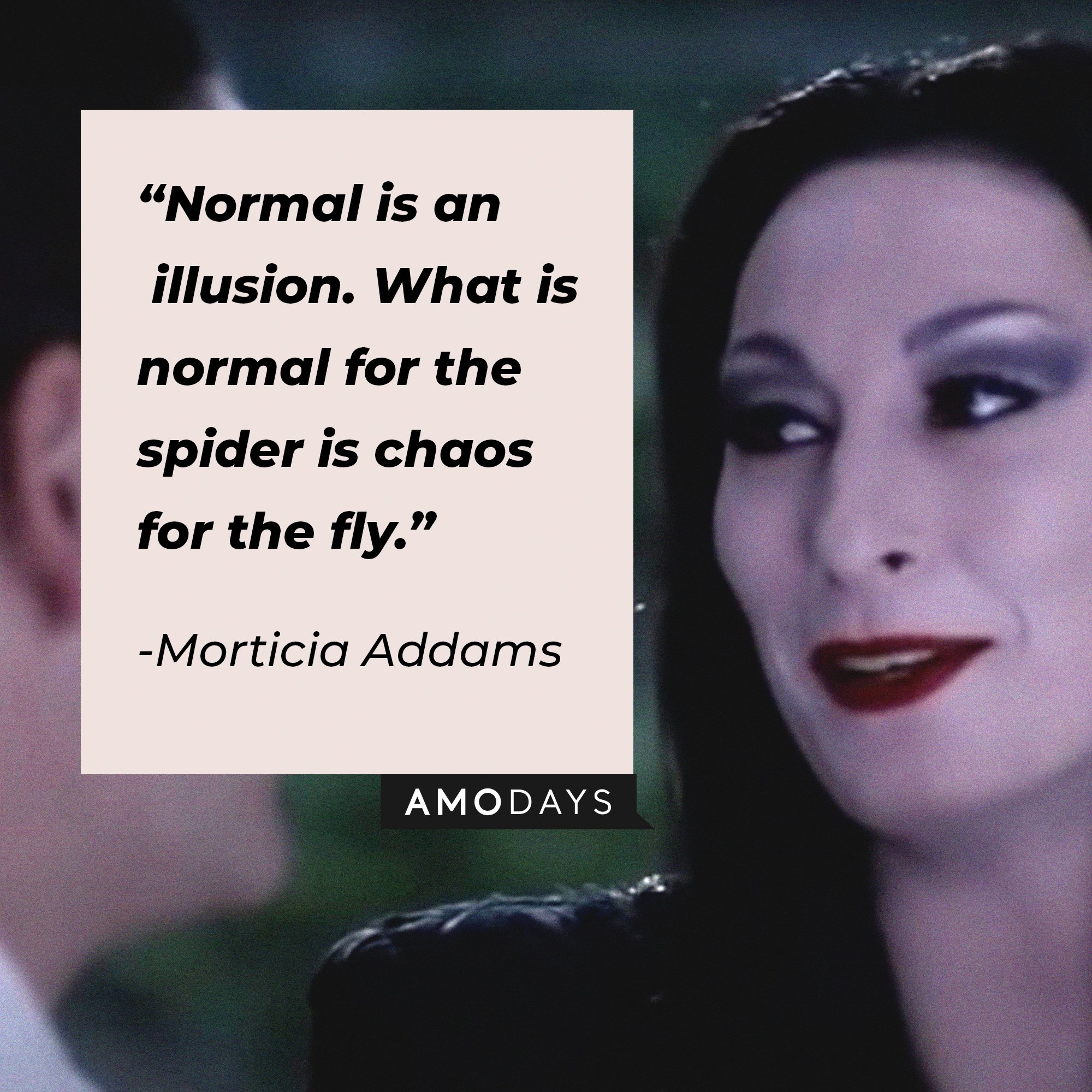 Morticia Addams’ quote: “Normal is an illusion. What is normal for the spider is chaos for the fly.” | Image: AmoDays  