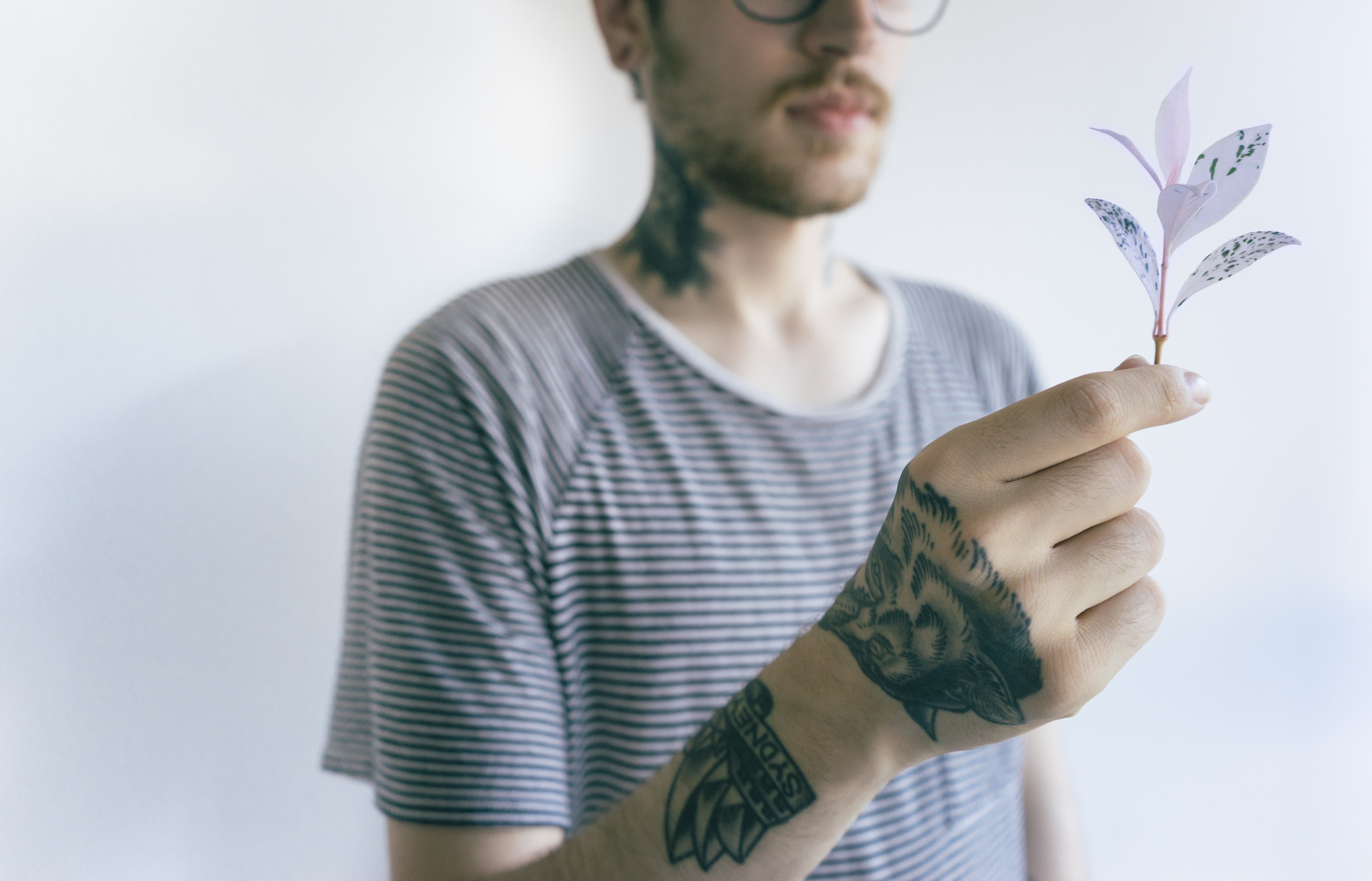 A man holding a tiny flower. | Source: Unsplash