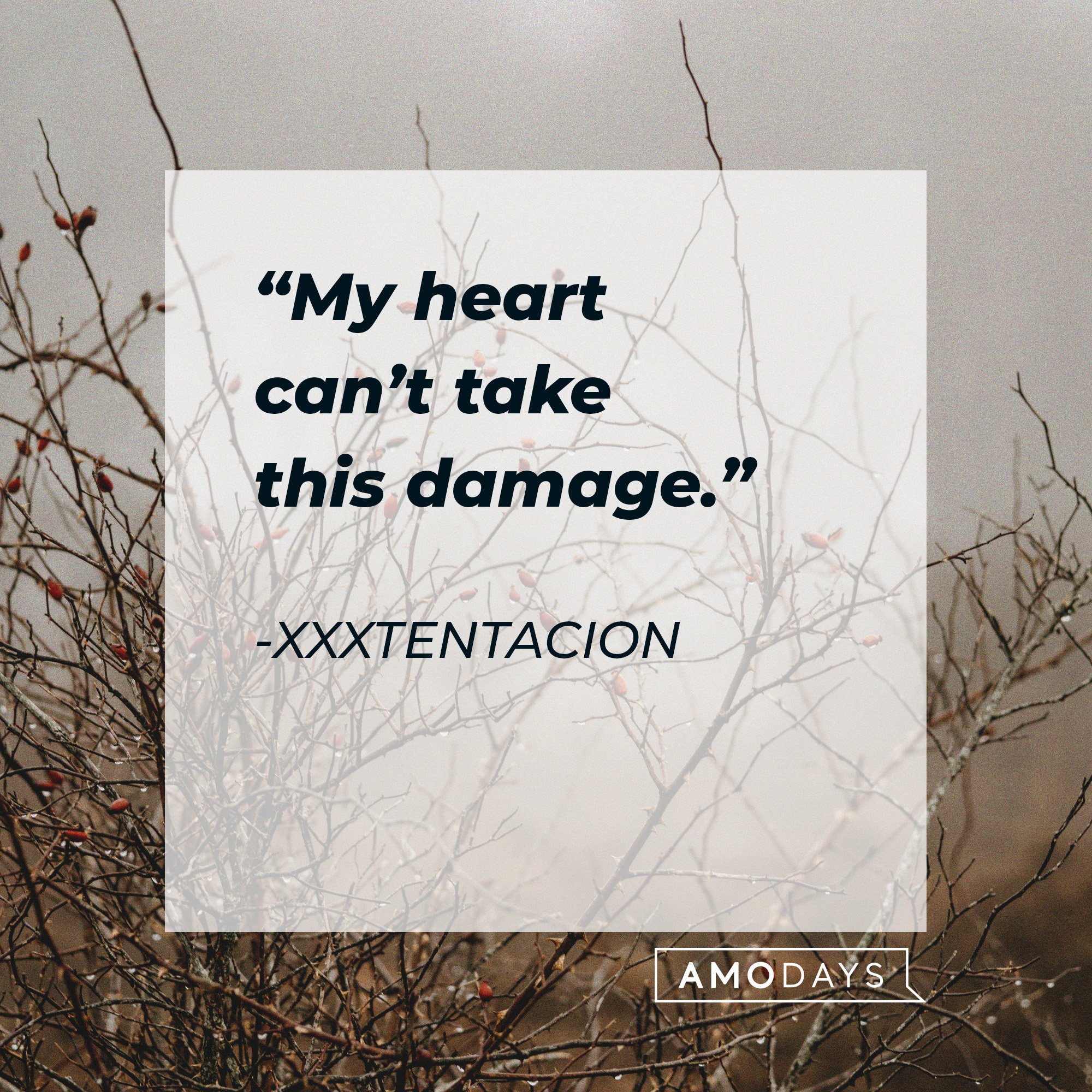 Xxxtentacion’s quote: “My heart can’t take this damage.” | Image: AmoDays