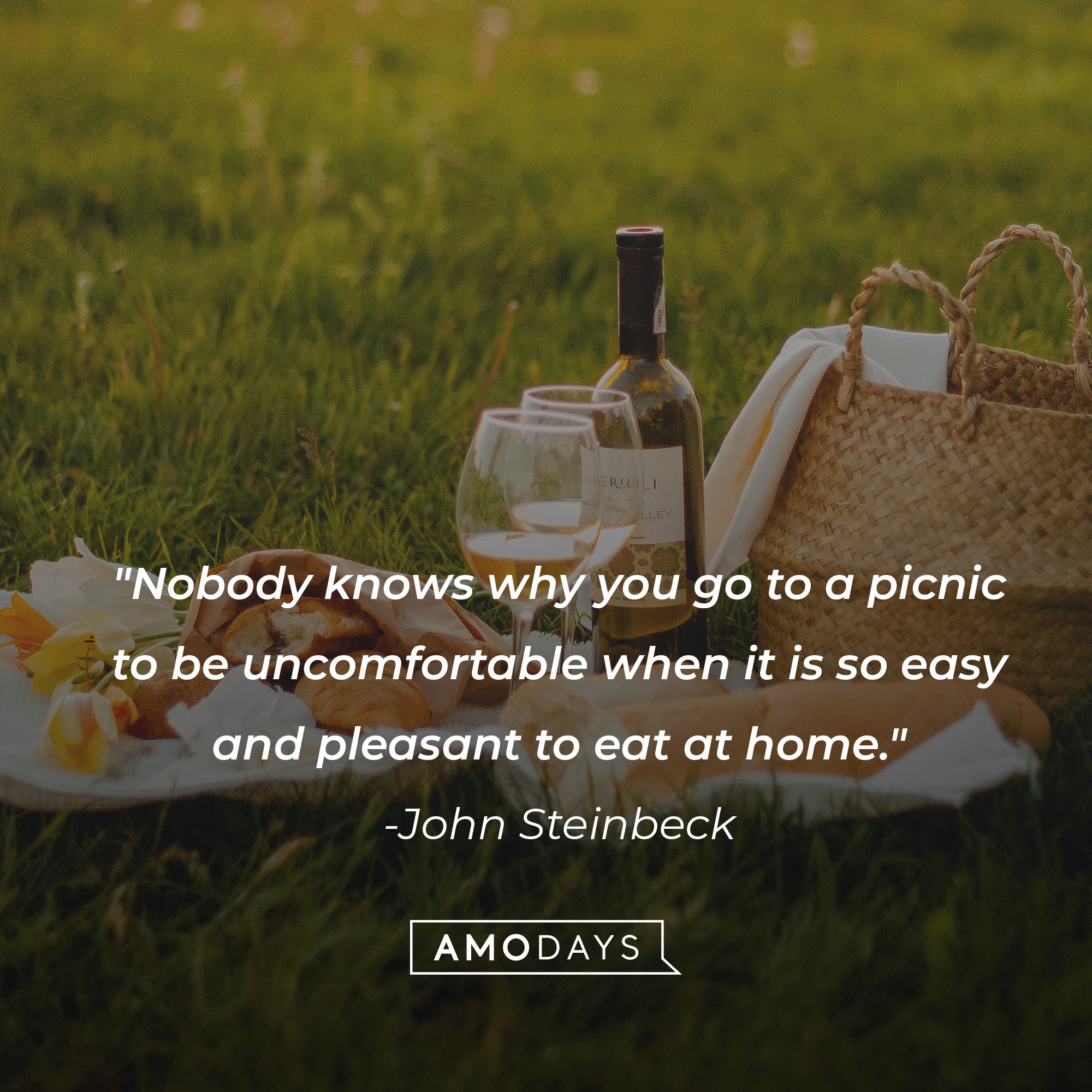 John Steinbeck's quote: "Nobody knows why you go to a picnic to be uncomfortable when it is so easy and pleasant to eat at home." | Image: AmoDays