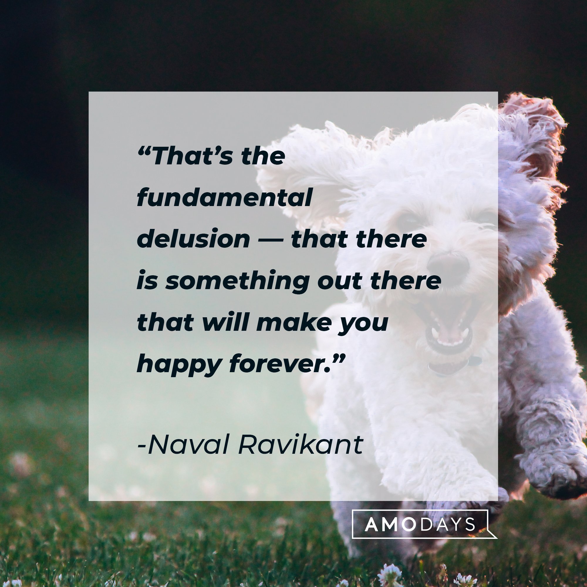 Naval Ravikant's quote: That’s the fundamental delusion — that there is something out there that will make you happy forever. | Image: AmoDays 