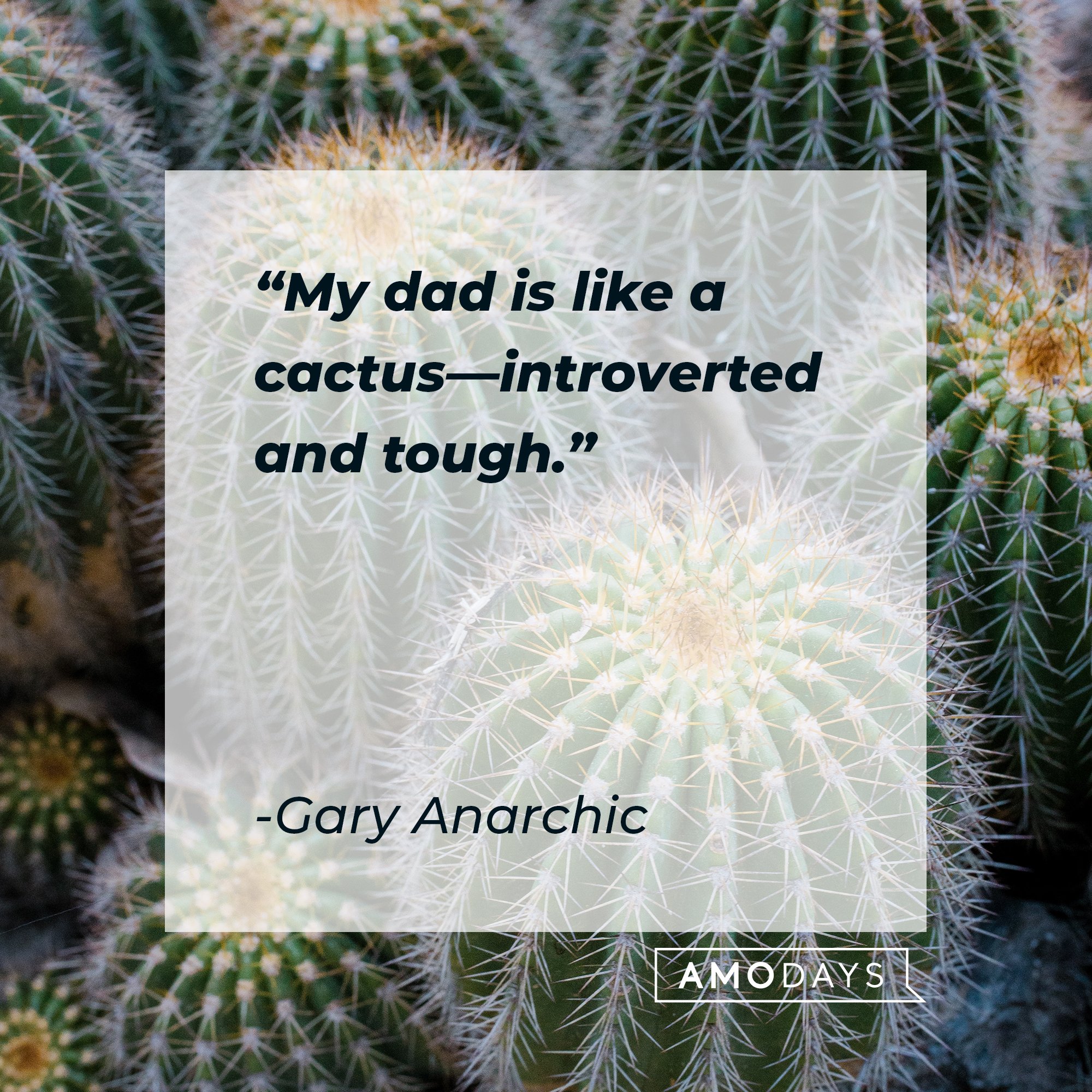 Gary Anarchic’s quote: "My dad is like a cactus—introverted and tough." | Image: AmoDays  