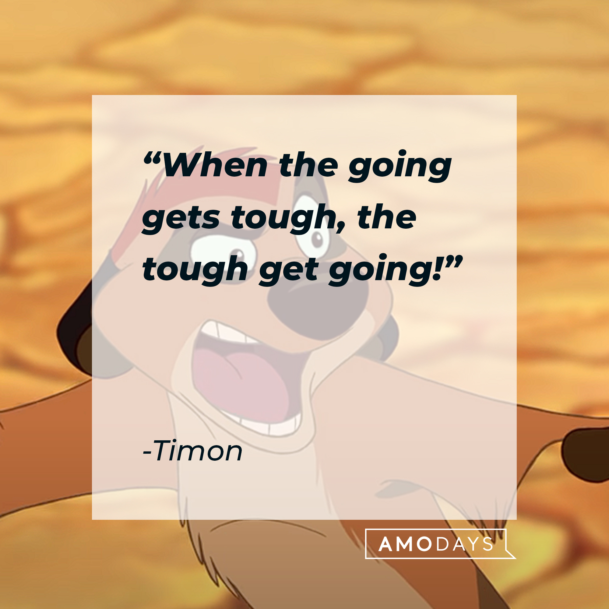 Timon with his quote: “When the going gets tough, the tough get going!” | Source:  youtube.com/disneyfr