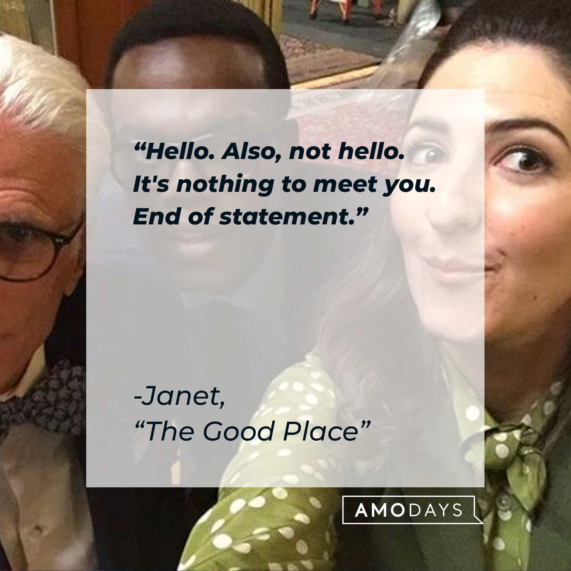 Janet's quote: "Hello. Also, not hello. It's nothing to meet you. End of statement." | Source: facebook.com/NBCTheGoodPlace