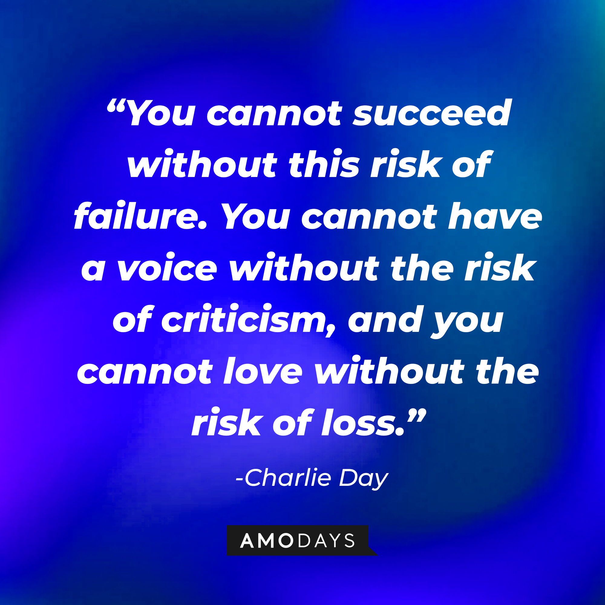 Charlie Day’s quote: “You cannot succeed without this risk of failure. You cannot have a voice without the risk of criticism, and you cannot love without the risk of loss.” | Source: AmoDays