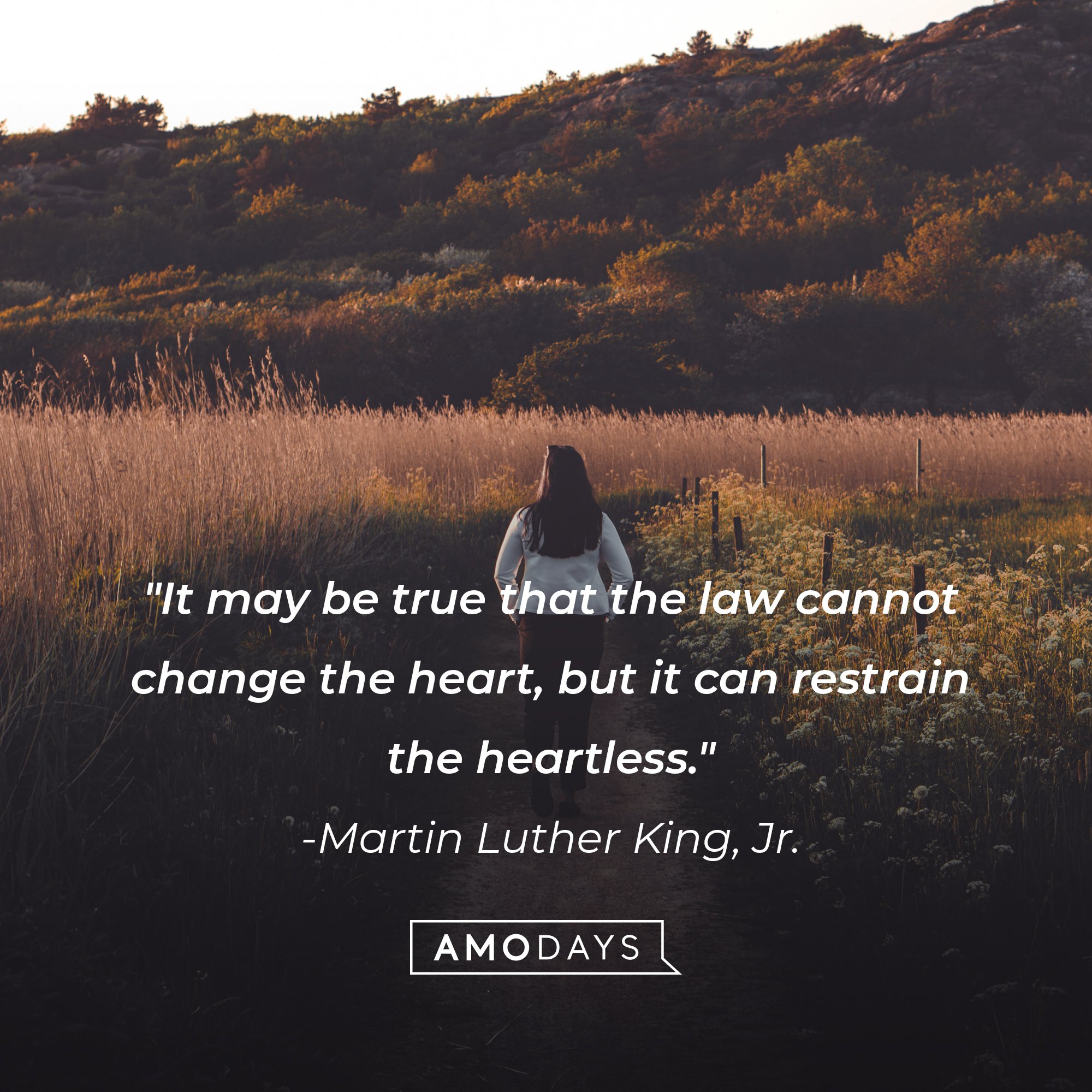 Martin Luther King, Jr.'s quote: "It may be true that the law cannot change the heart, but it can restrain the heartless." | Image: AmoDays