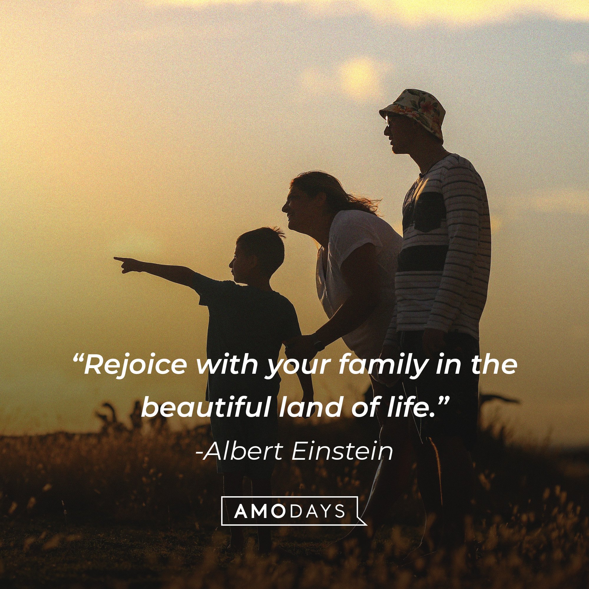 Albert Einstein's quote: “Rejoice with your family in the beautiful land of life.” | Image: AmoDays