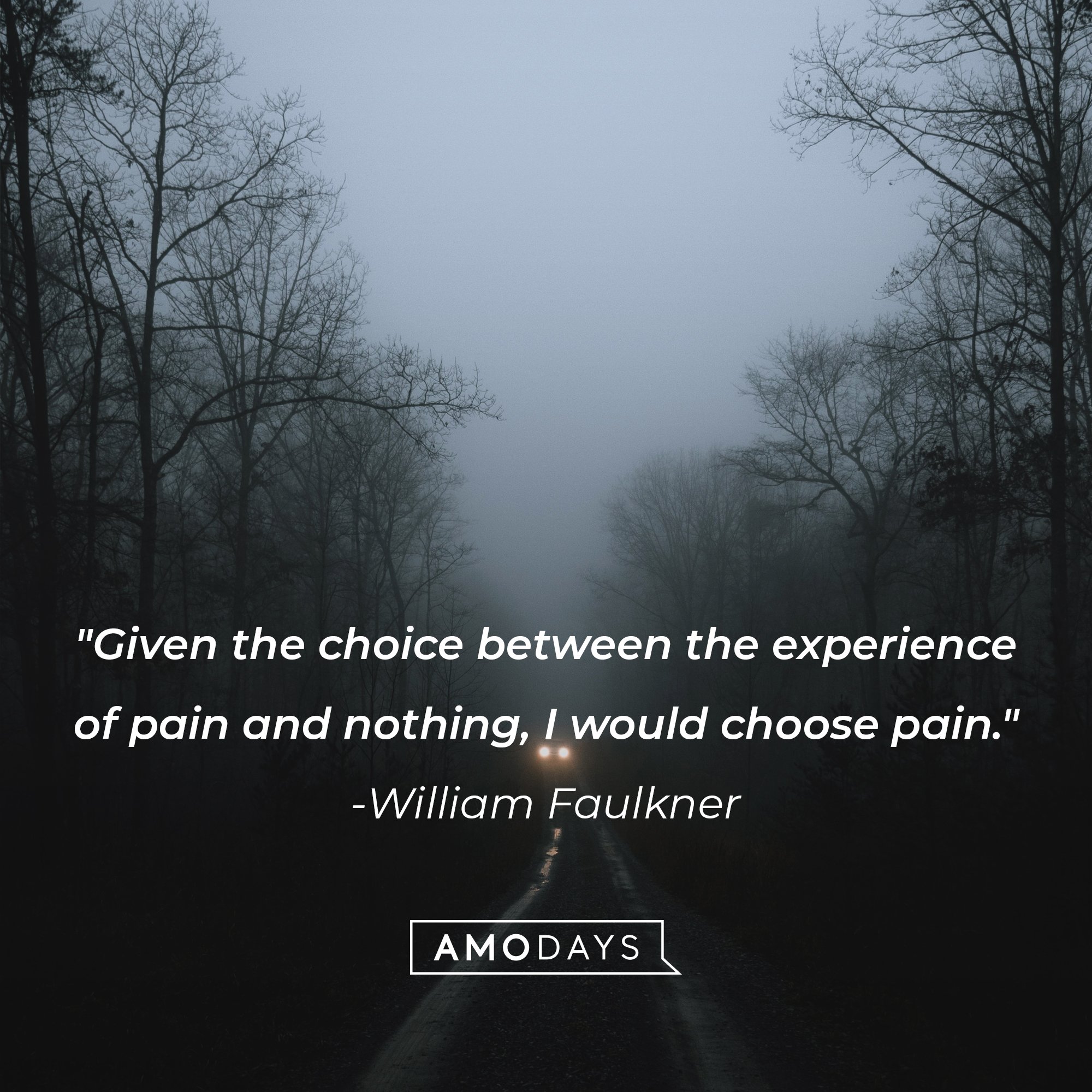  William Faulkner’s quote: "Given the choice between the experience of pain and nothing, I would choose pain." | Image: AmoDays 