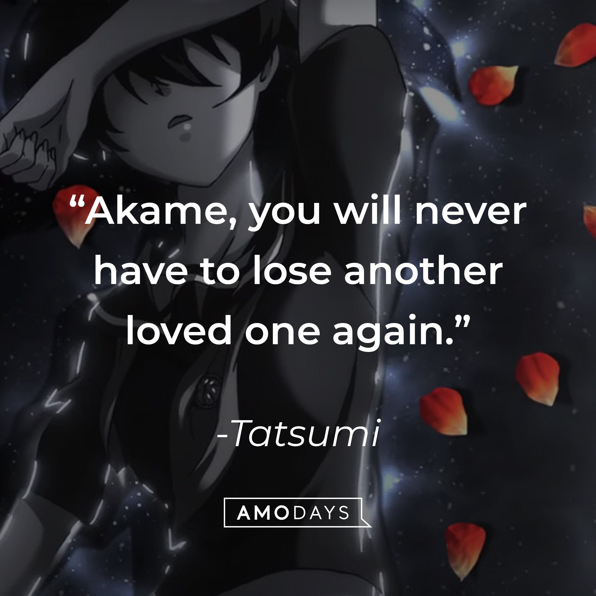 Tatsumi’s quote: “Akame, you will never have to lose another loved one again." | Image: AmoDays