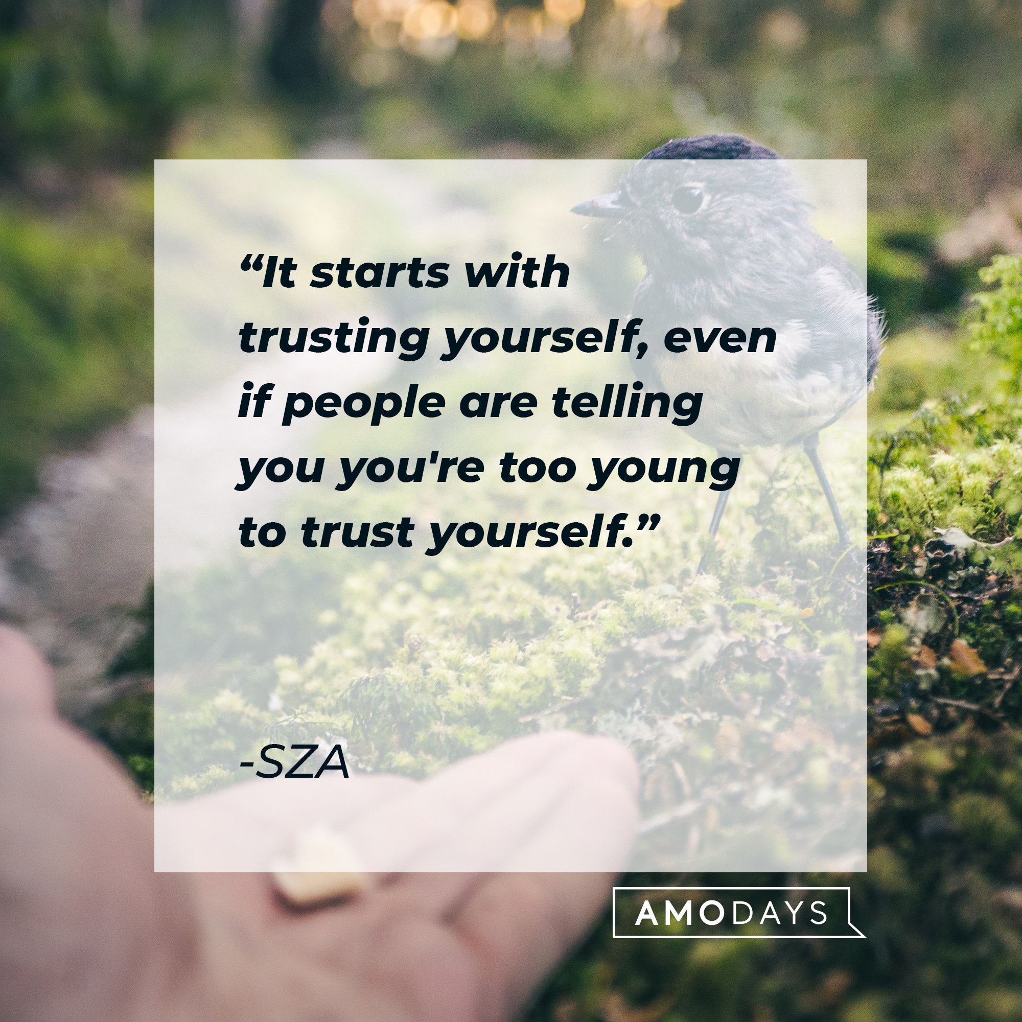 SZA’s quote: "It starts with trusting yourself, even if people are telling you you're too young to trust yourself." | Image: AmoDays