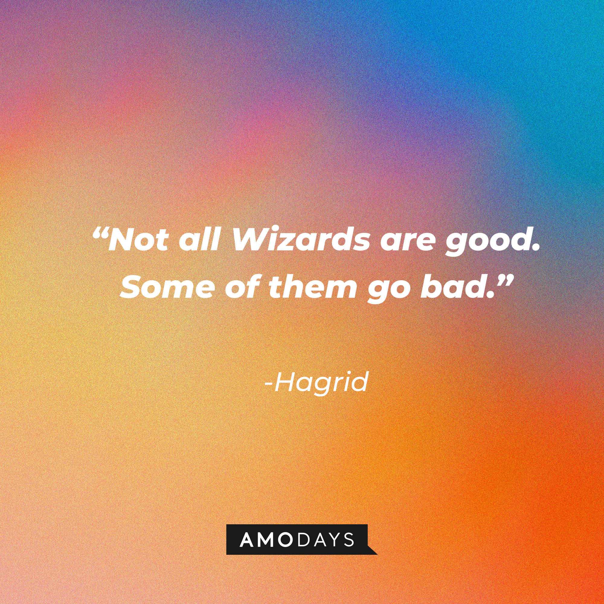 Hagrid's quote: "Not all Wizards are good. Some of them go bad." | Source: AmoDays