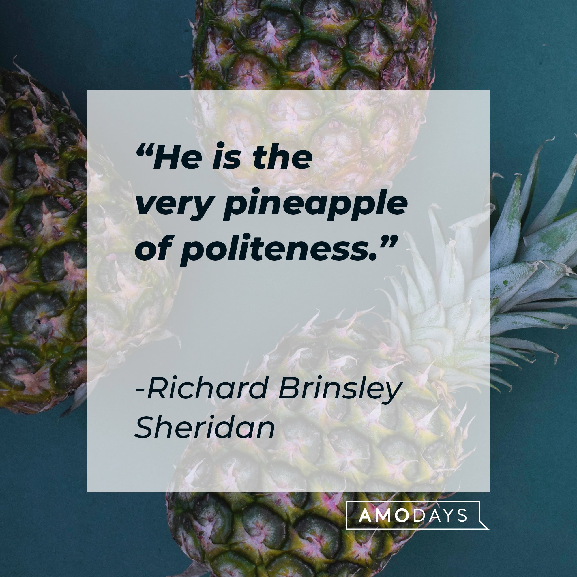 Richard Brinsley Sheridan's quote: "He is the very pineapple of politeness." | Image: AmoDays
