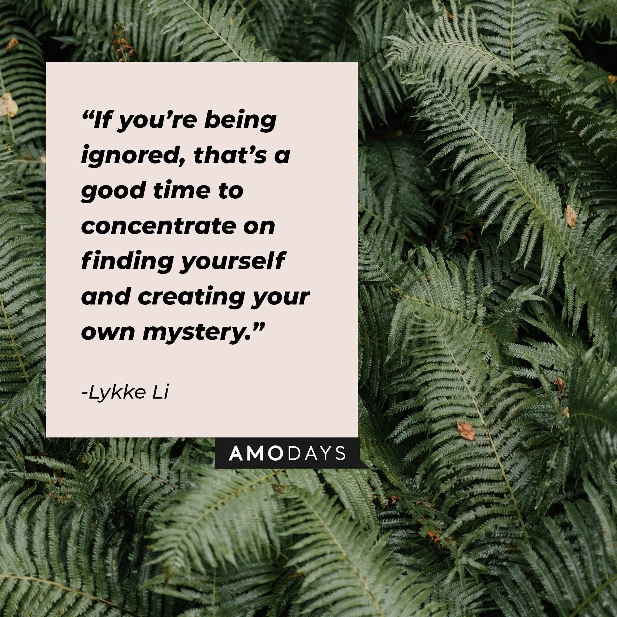 Lykke Li's quote: “If you’re being ignored, that’s a good time to concentrate on finding yourself and creating your own mystery.”  | Image: AmoDays