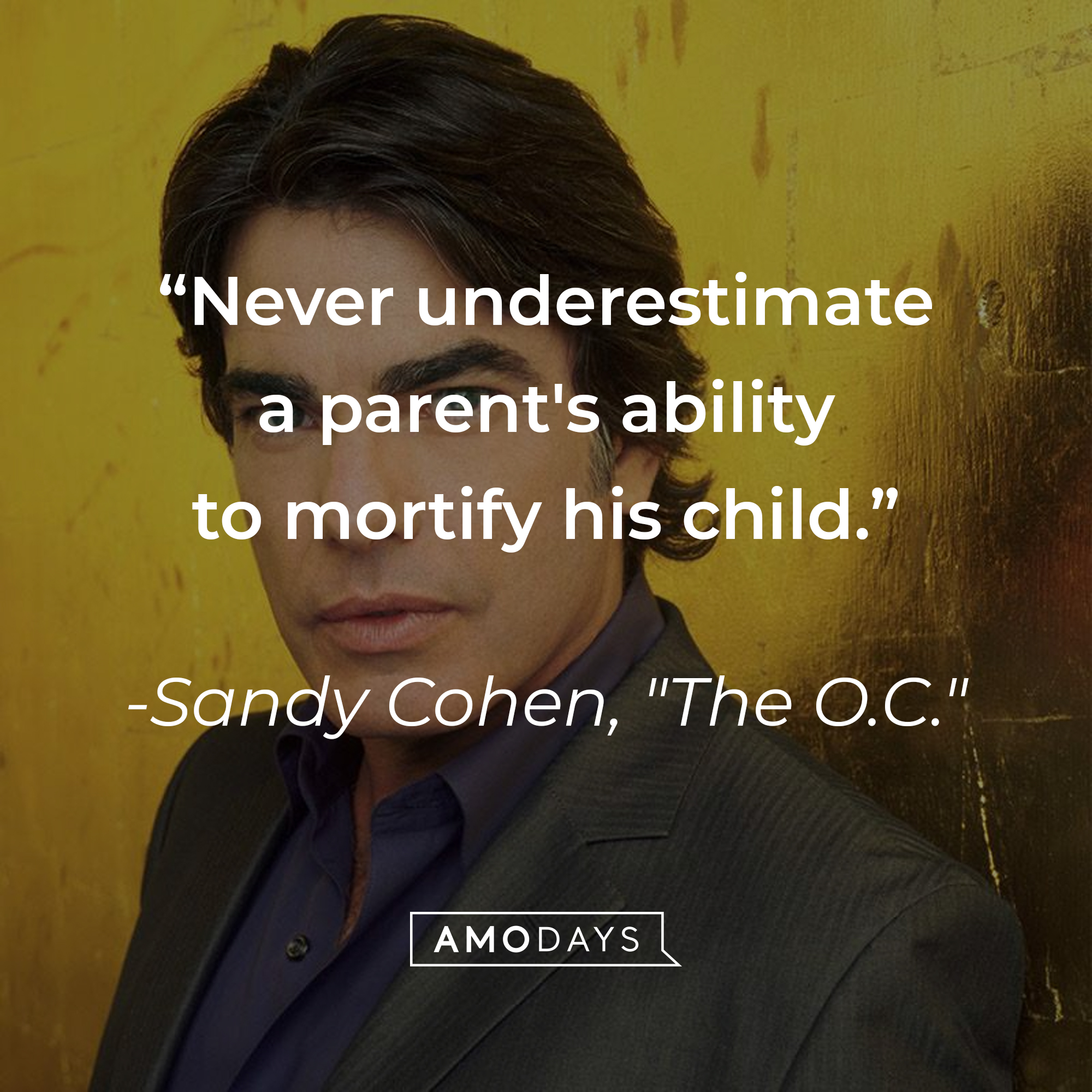 Sandy Cohen's quote: "Never underestimate a parent's ability to mortify his child." | Source: Facebook.com/TheOC