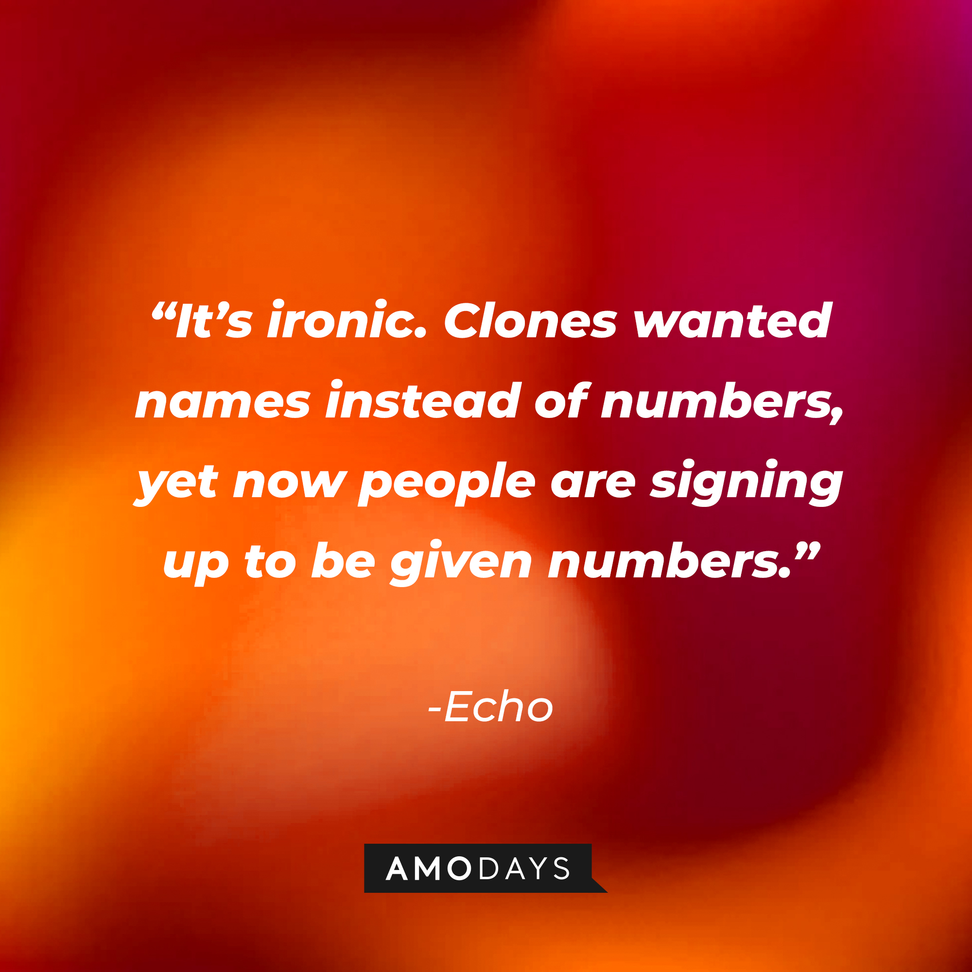 Echo’s quote: "It’s ironic. Clones wanted names instead of numbers, yet now people are signing up to be given numbers." | Source: AmoDays