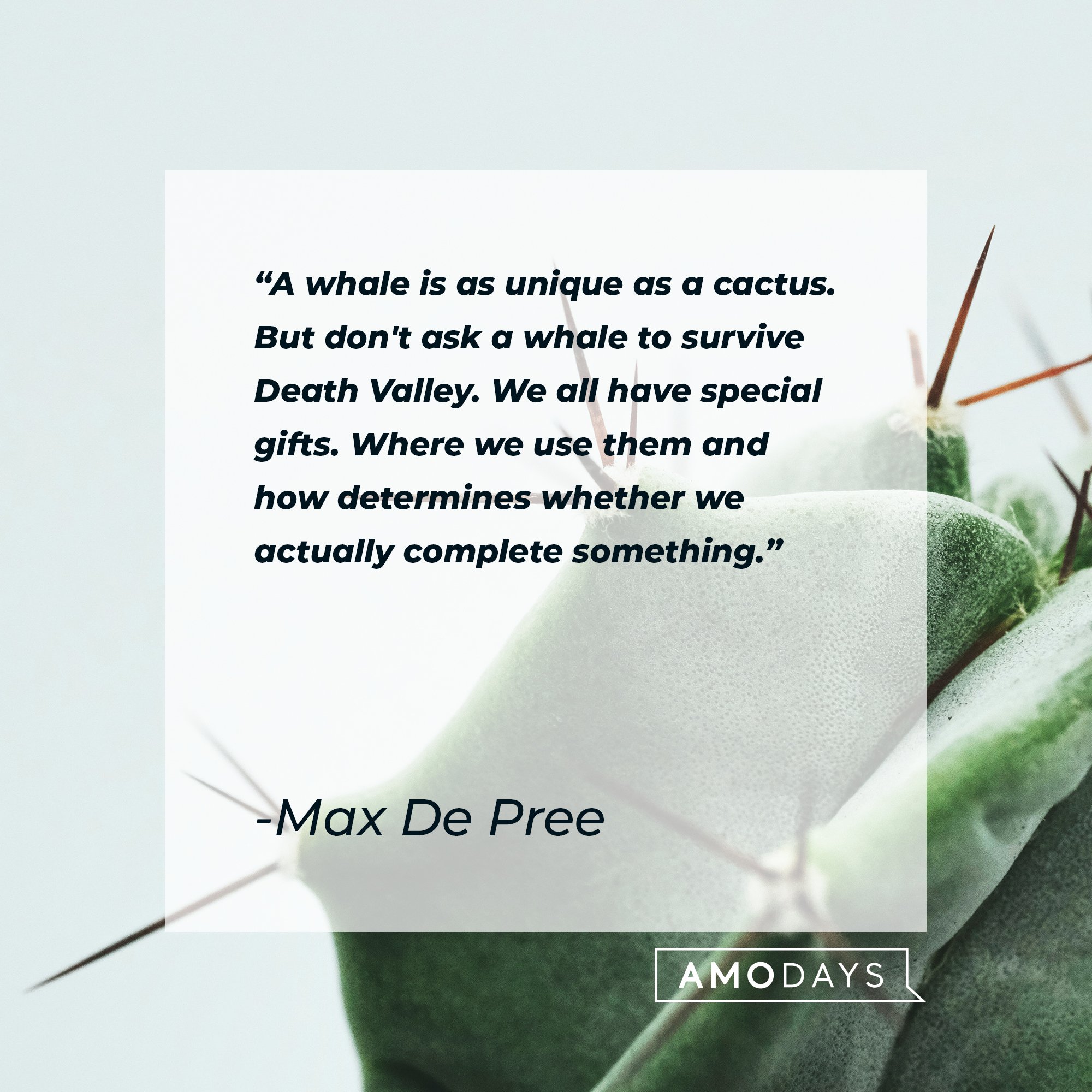  Max De Pree’s quote: "A whale is as unique as a cactus. But don't ask a whale to survive Death Valley. We all have special gifts. Where we use them and how determines whether we actually complete something.” | Image: AmoDays
