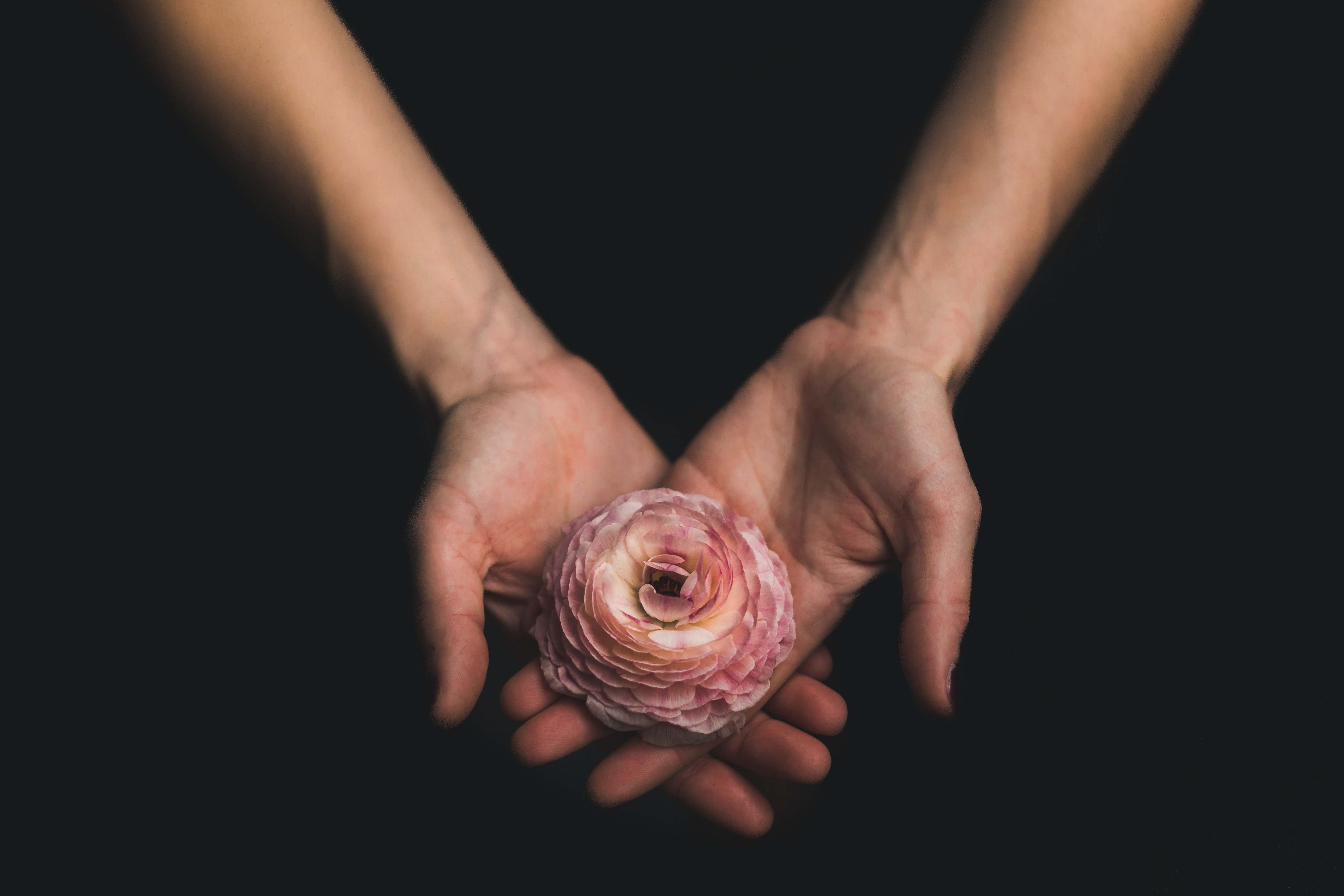 An individual cupping a flower in their hands. │ Source: Unsplash