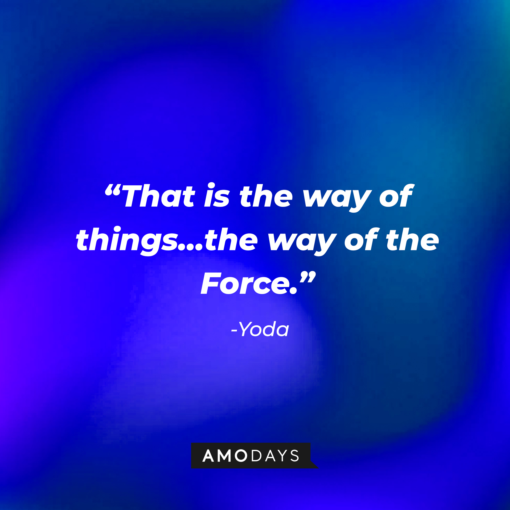 Han Solo’s quote: “That is the way of things...the way of the Force.”   | Source: AmoDays
