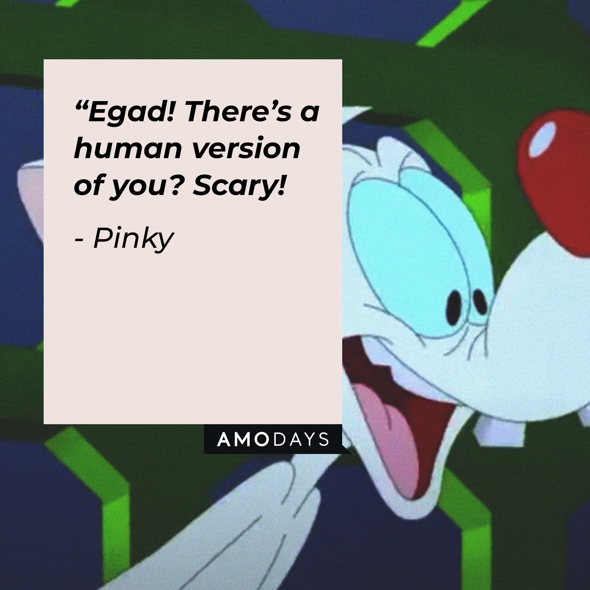  Pinky's quote: “Egad! There’s a human version of you? Scary!” | Image: AmoDays