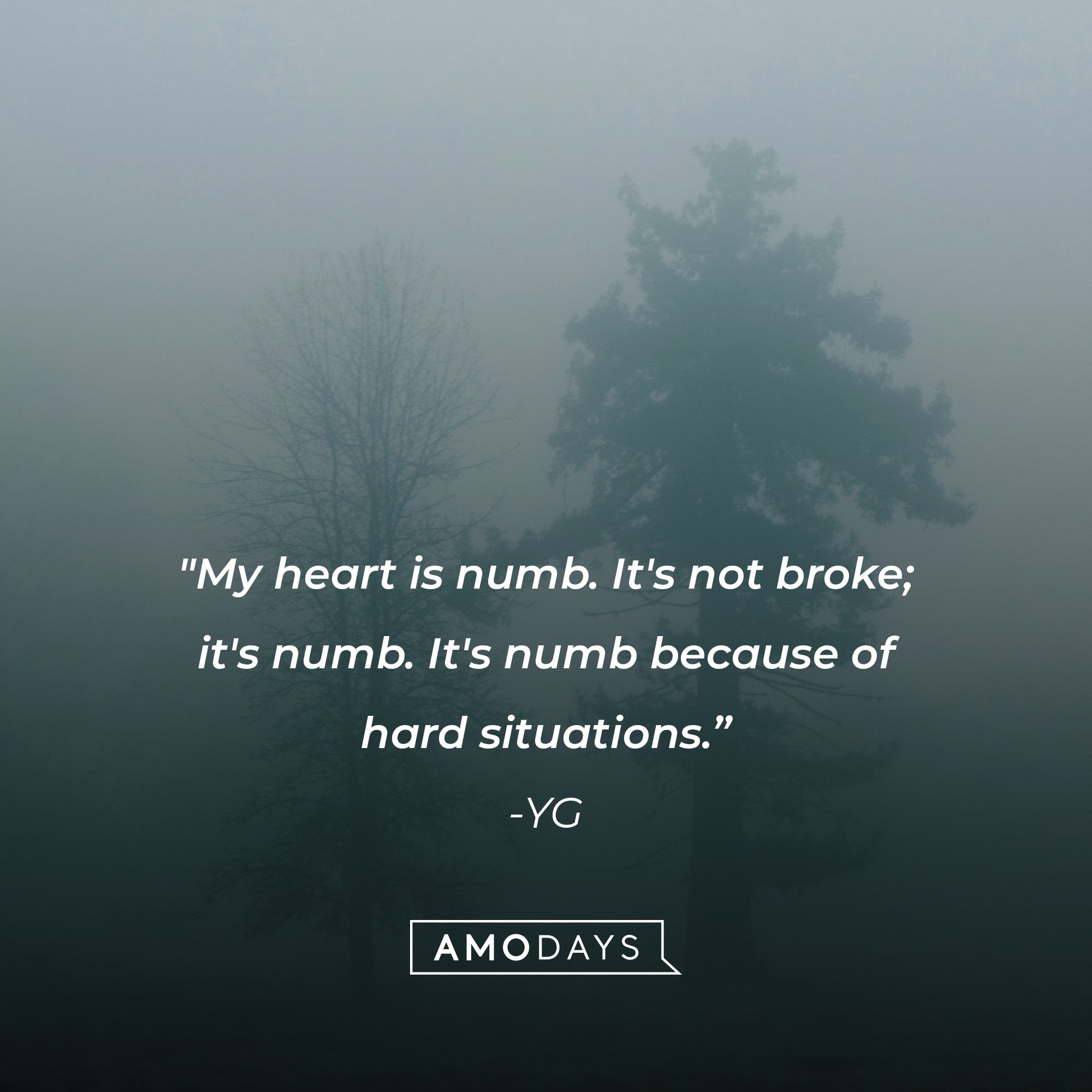 Numb Quotes