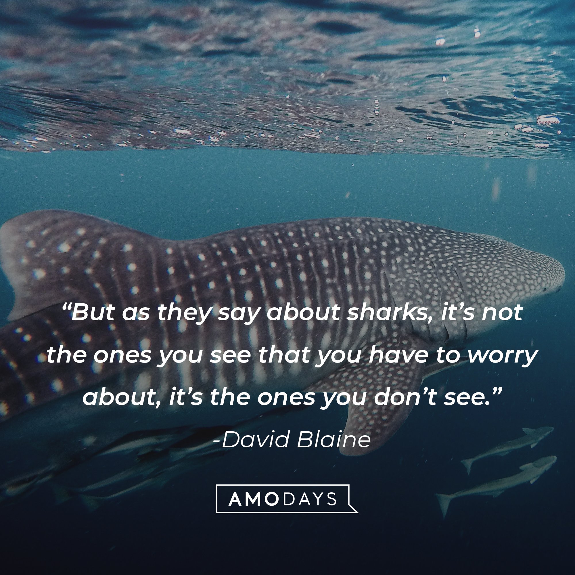 David Blaine's quote: “But as they say about sharks, it’s not the ones you see that you have to worry about, it’s the ones you don’t see.” | Image: AmoDays 