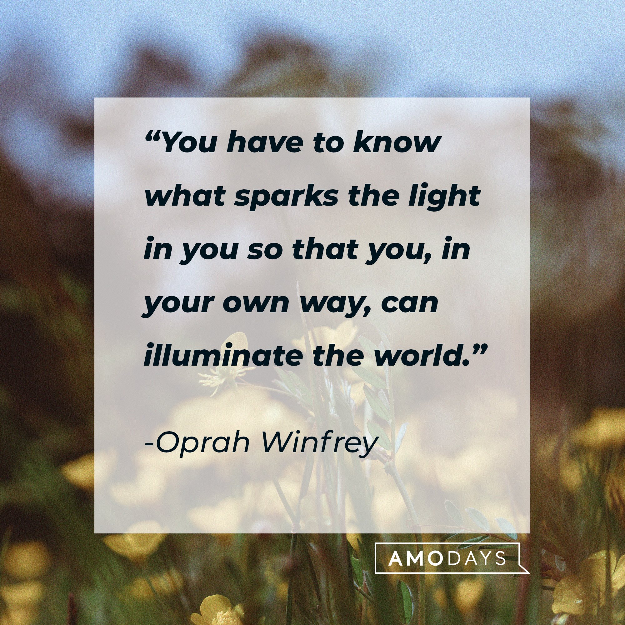  Oprah Winfrey's quote: “You have to know what sparks the light in you so that you, in your own way, can illuminate the world.” | Image: AmoDays
