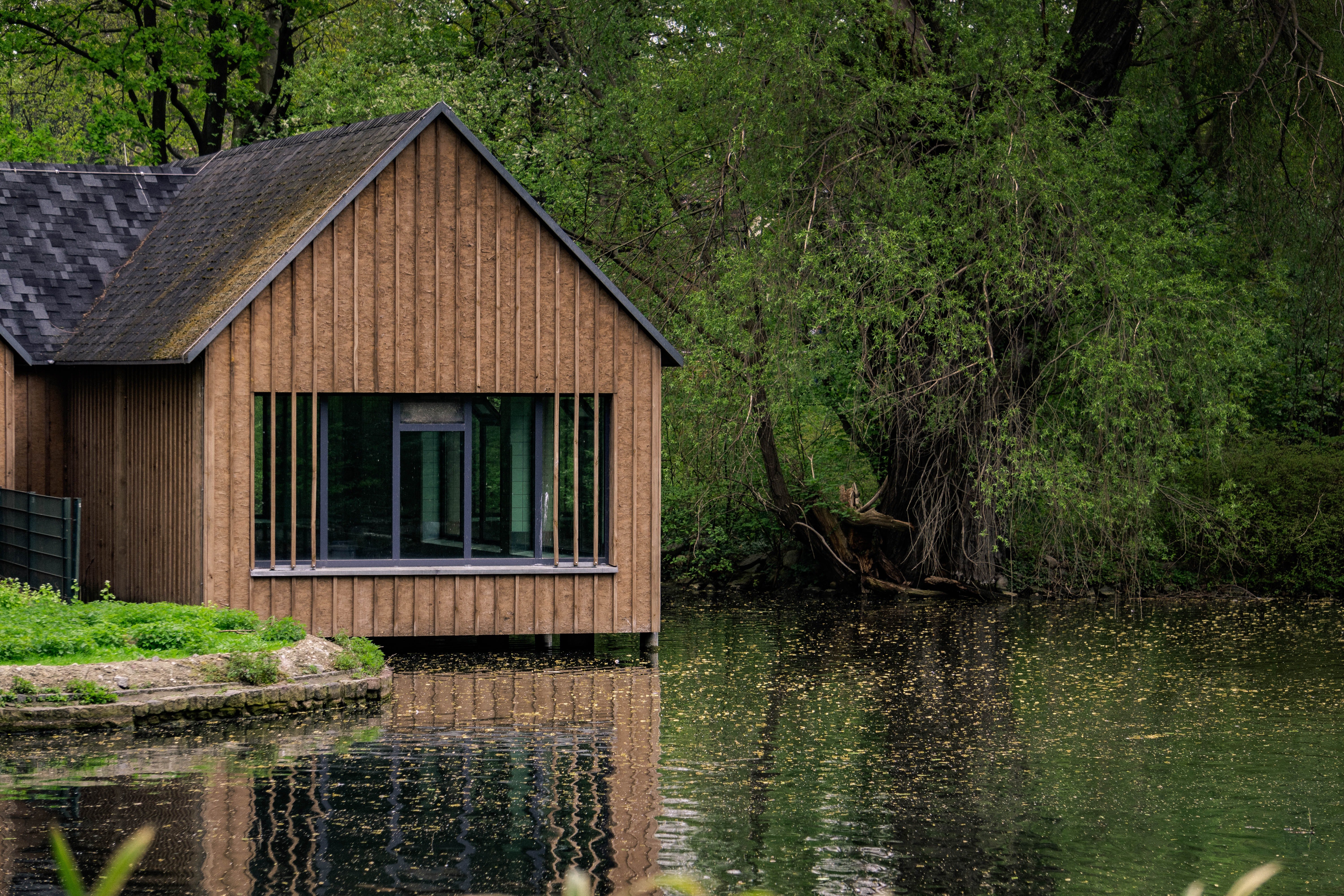 As it turned out, Kevin had been secretly building a woodhouse by the lake to surprise Sarah. | Source: Unsplash