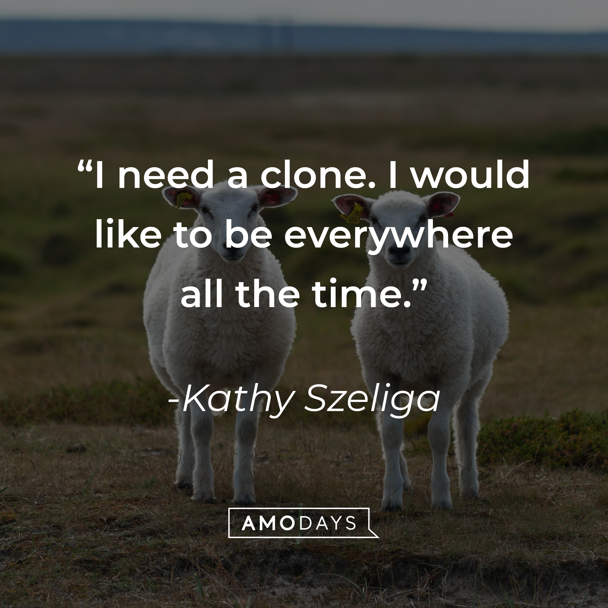 Kathy Szeliga's quote, "I need a clone. I would like to be everywhere all the time." | Image: Unsplash.com