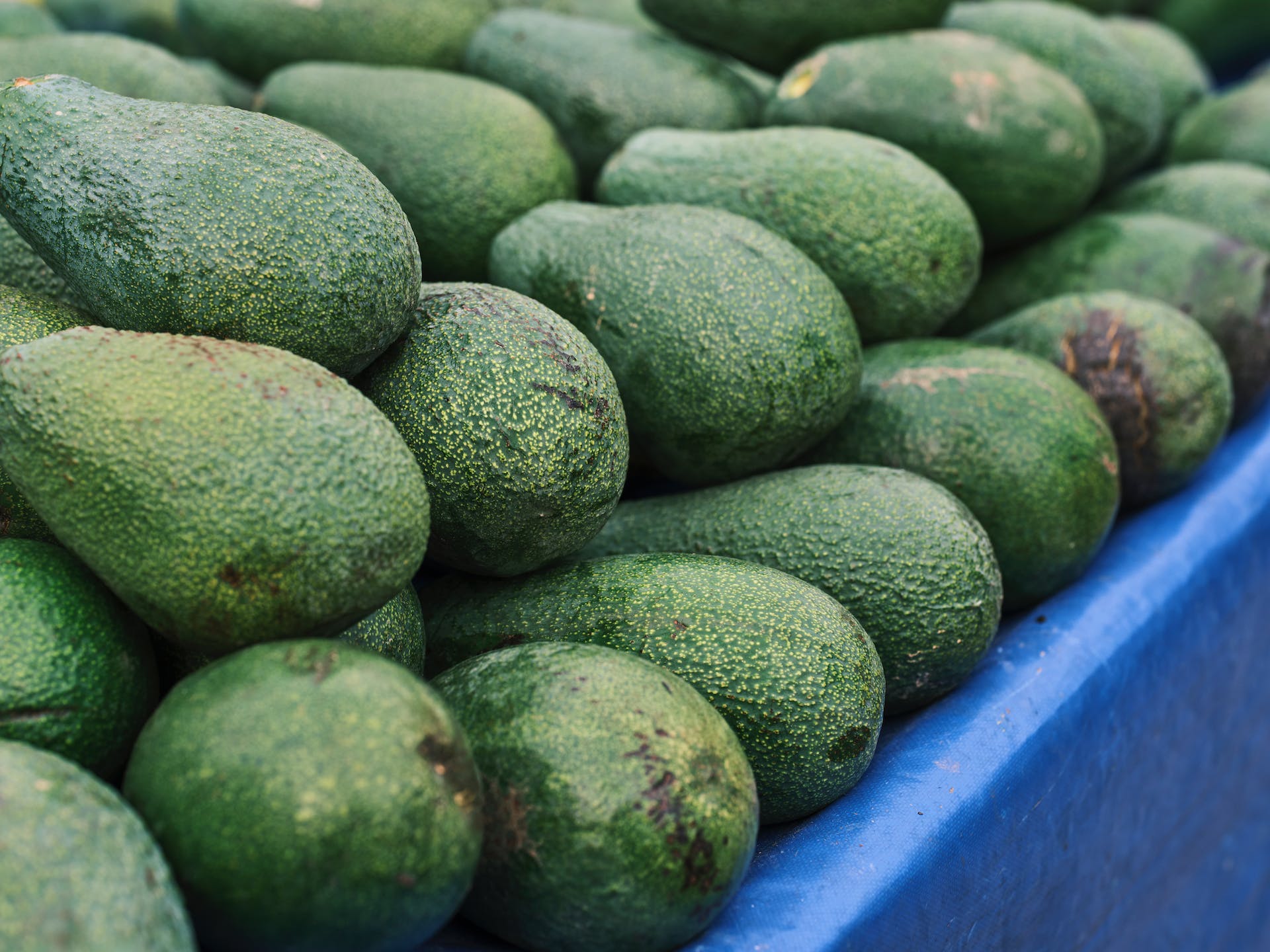 Close-up of avocados | Source: Pexels