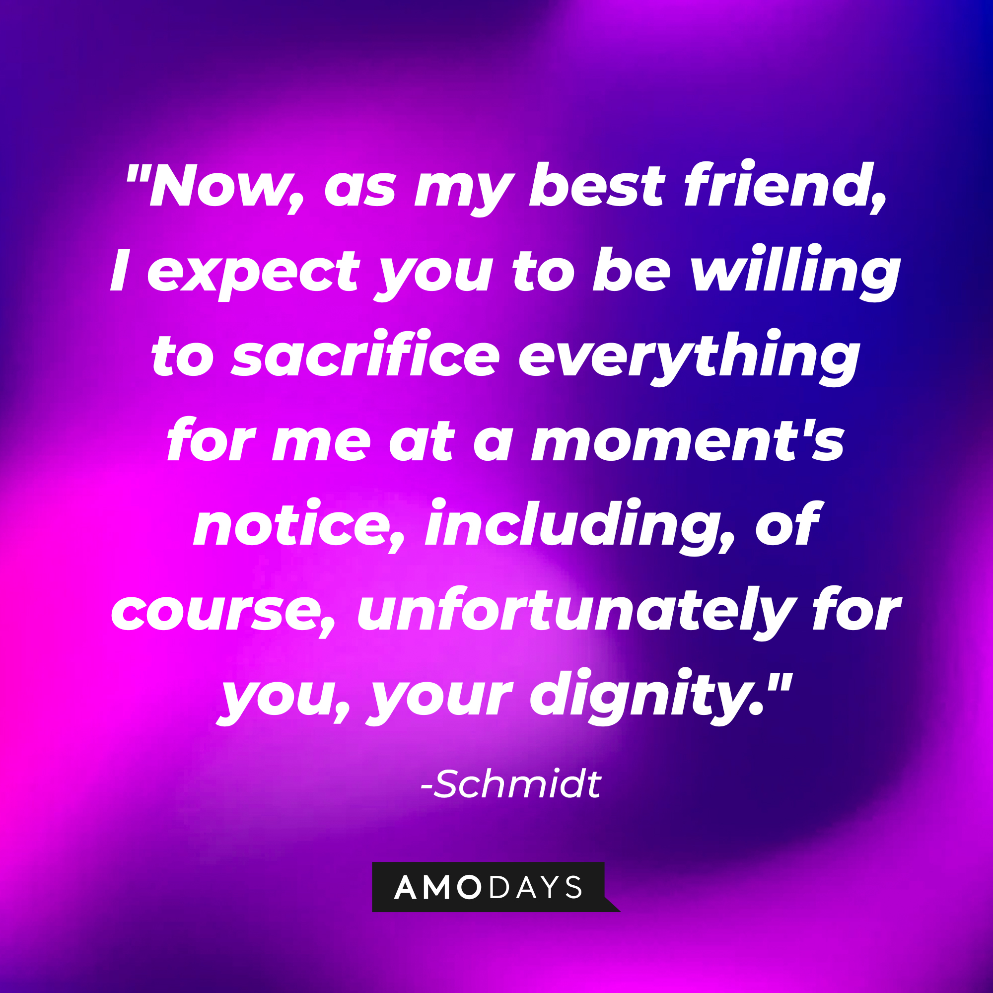 Schmidt's quote, "Now, as my best friend, I expect you to be willing to sacrifice everything for me at a moment's notice, including, of course, unfortunately for you, your dignity." | Source: Amodays