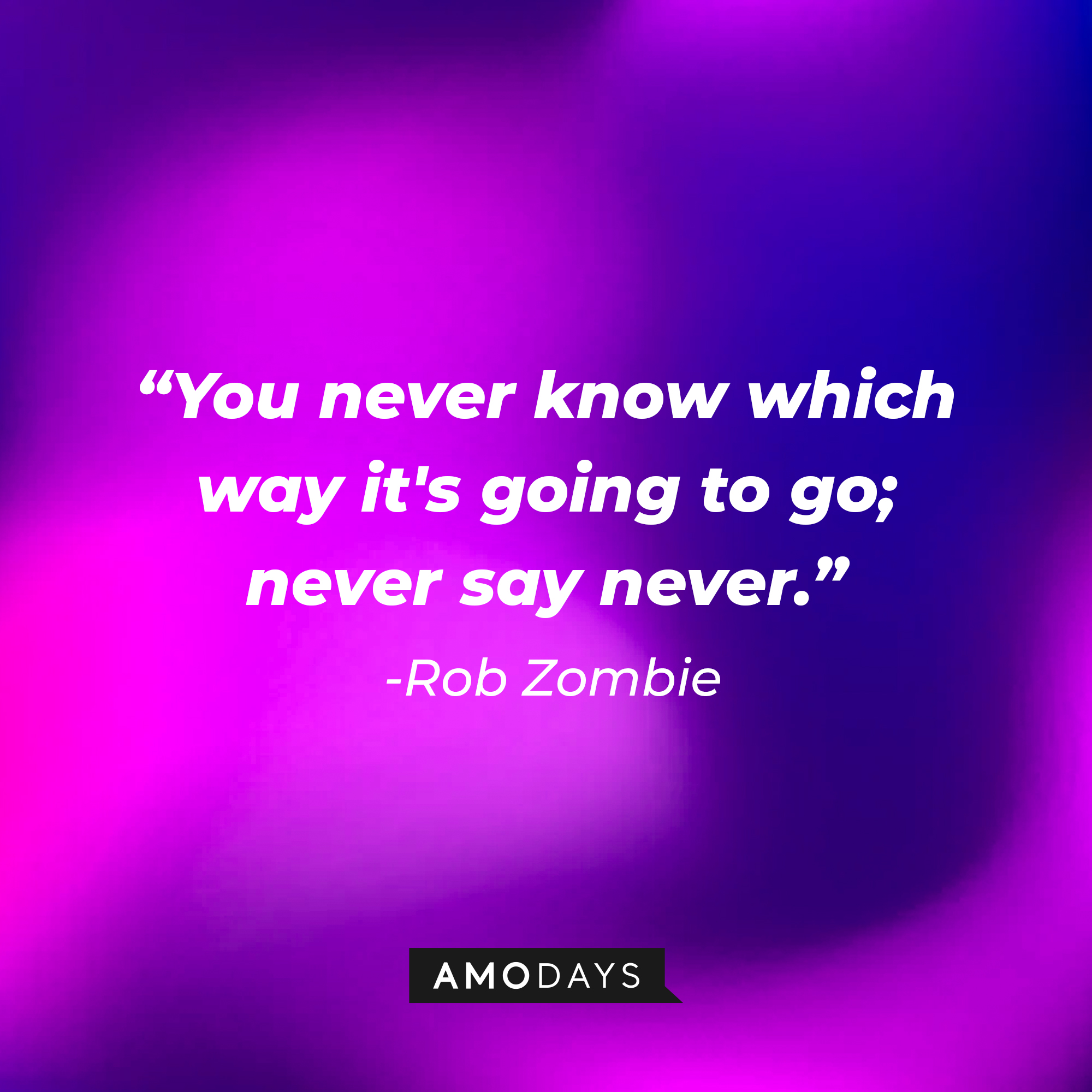 Rob Zombie's quote "You never know which way it's going to go; never say never." | Source: AmoDays