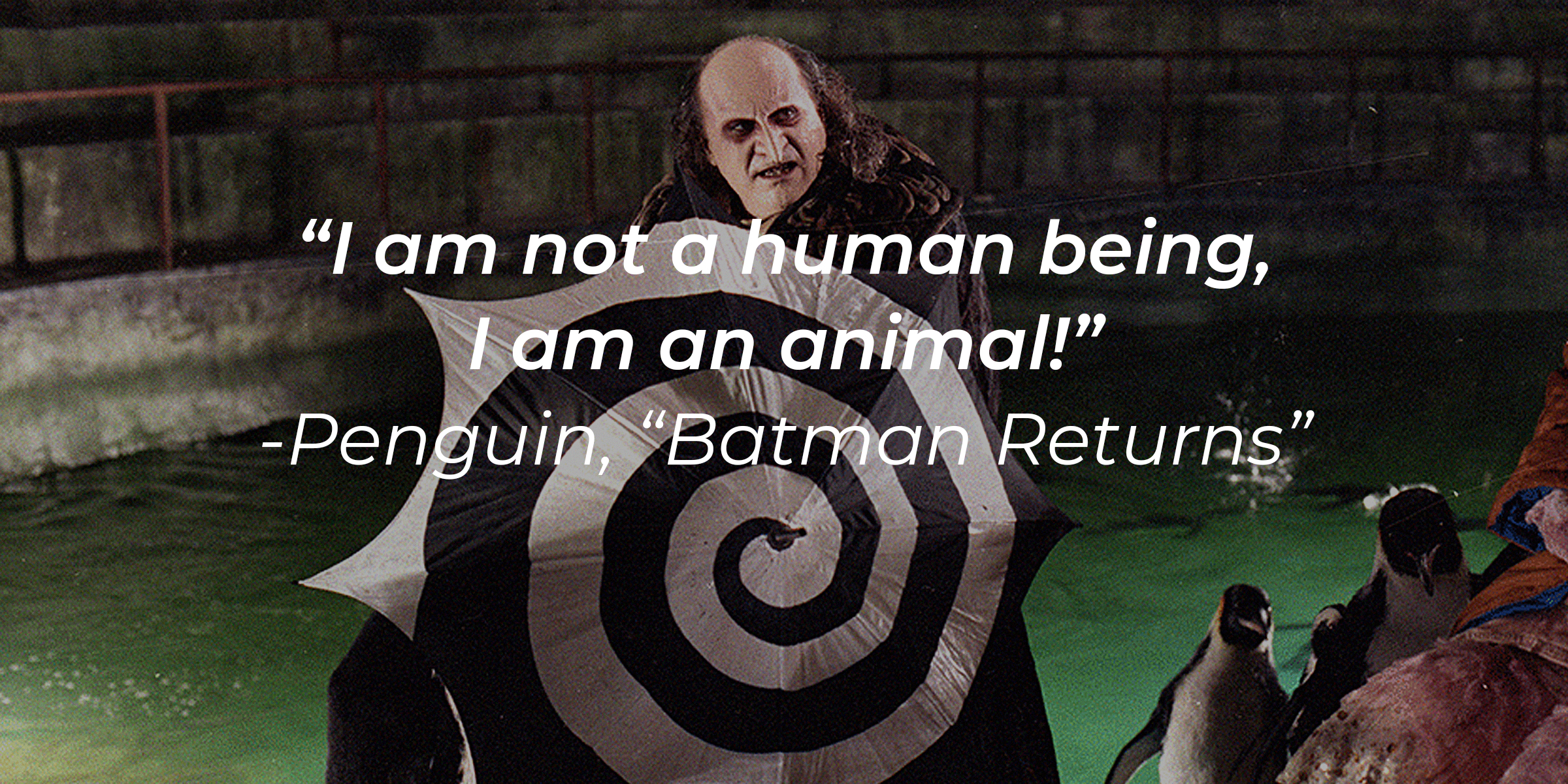 Penguin with his quote: "I am not a human being, I am an anima!" | Source: facebook.com/BatmanReturnsFilm