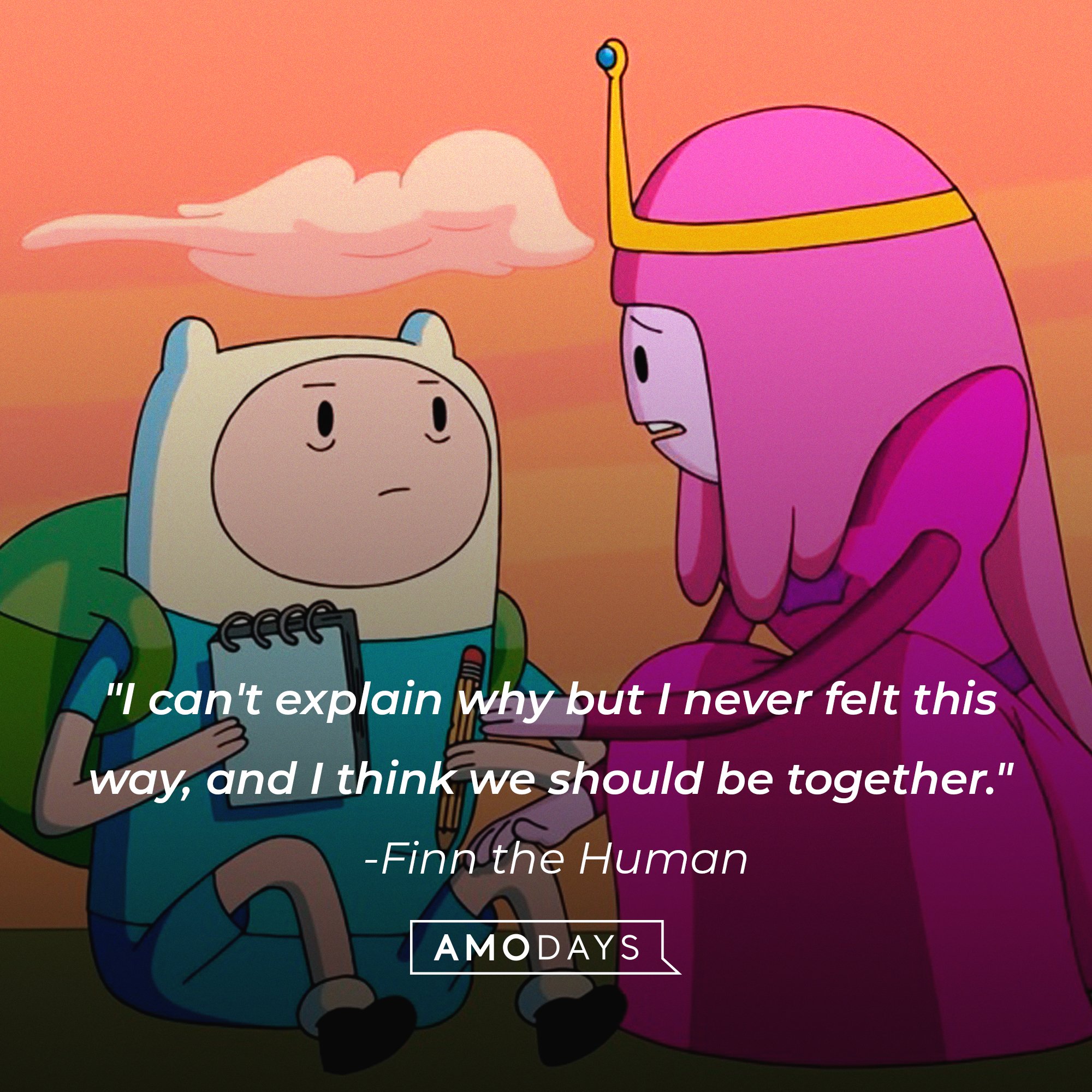   Finn the Human’s quote: “I can't explain why but I never felt this way, and I think we should be together." | Image: AmoDays