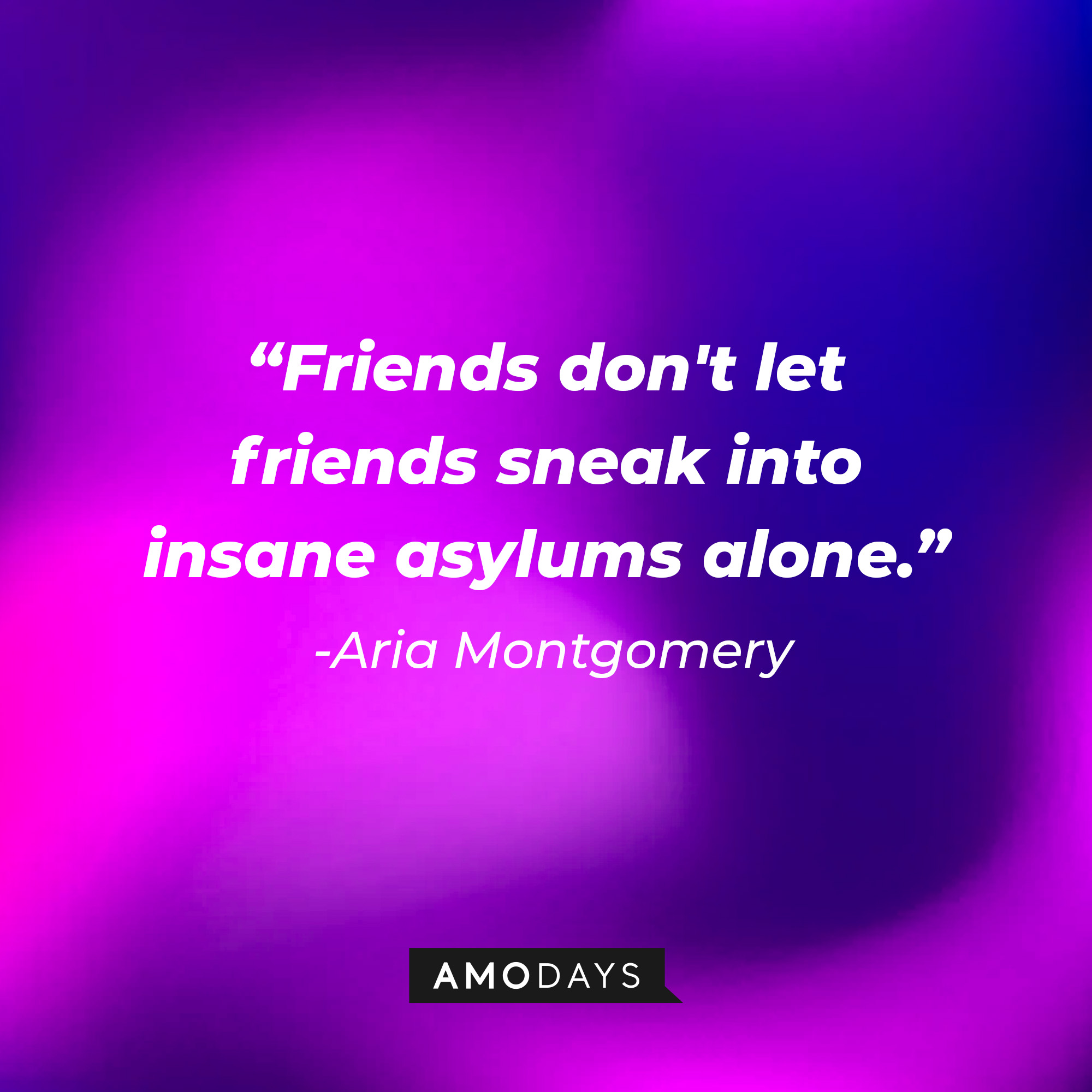 Aria Montgomery's quote: "Friends don't let friends sneak into insane asylums alone." | Source: Amodays