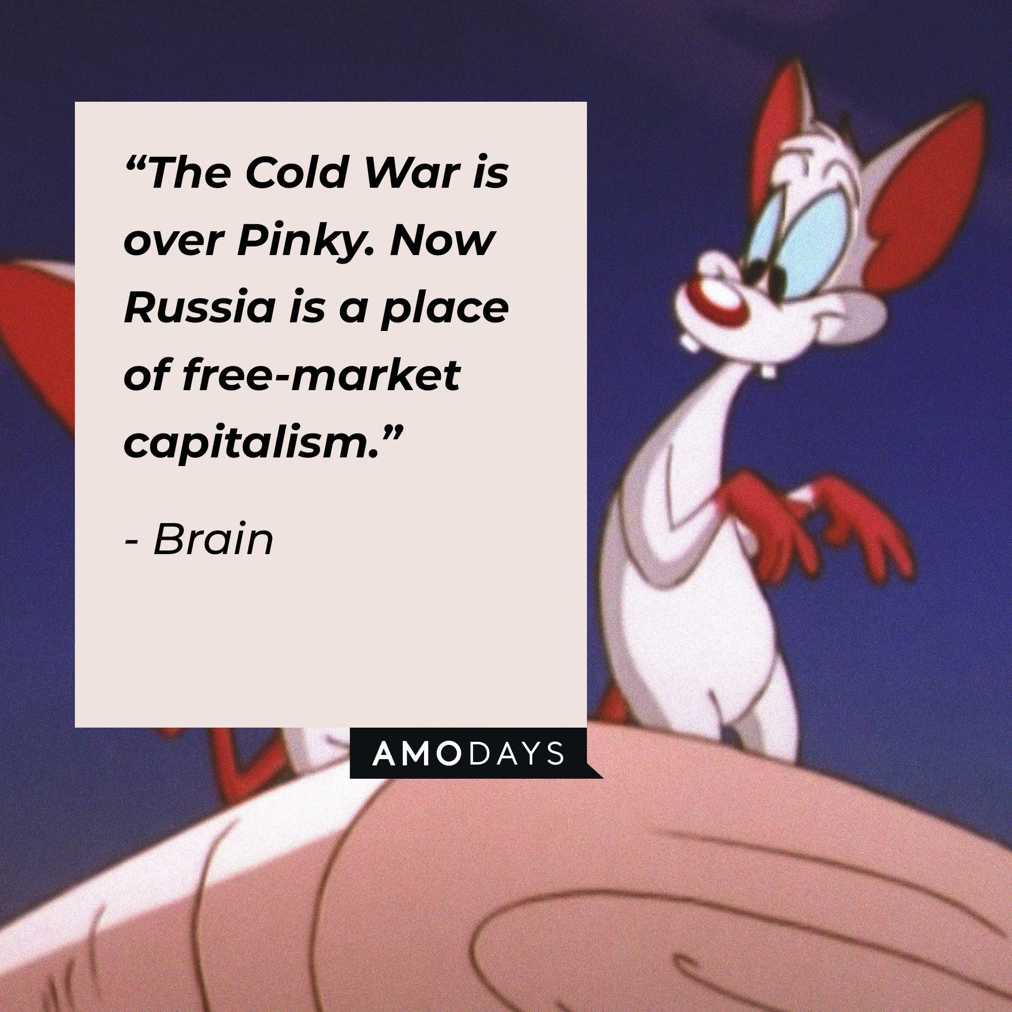 Brain's quote: “The Cold War is over Pinky. Now Russia is a place of free-market capitalism.” | Image: AmoDays