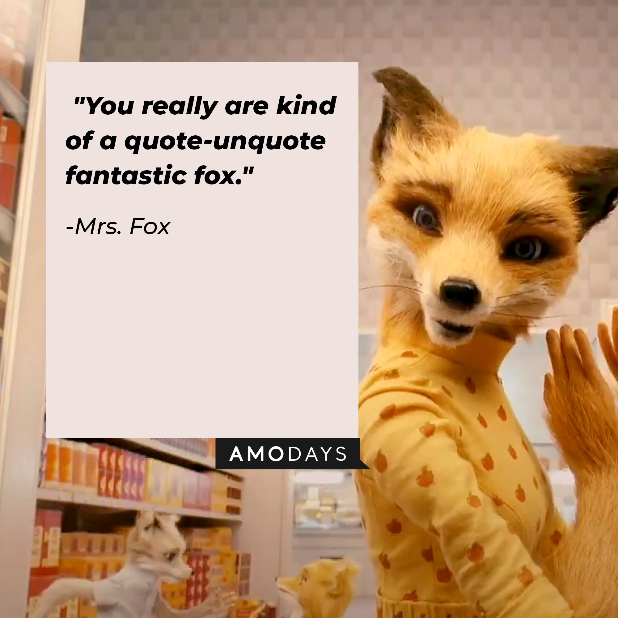  Mr’s Fox’s Quote: "You really are kind of a quote-unquote fantastic fox." | Image: AmoDays